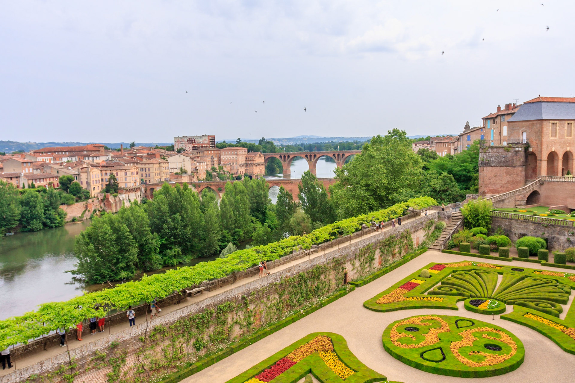 Albi