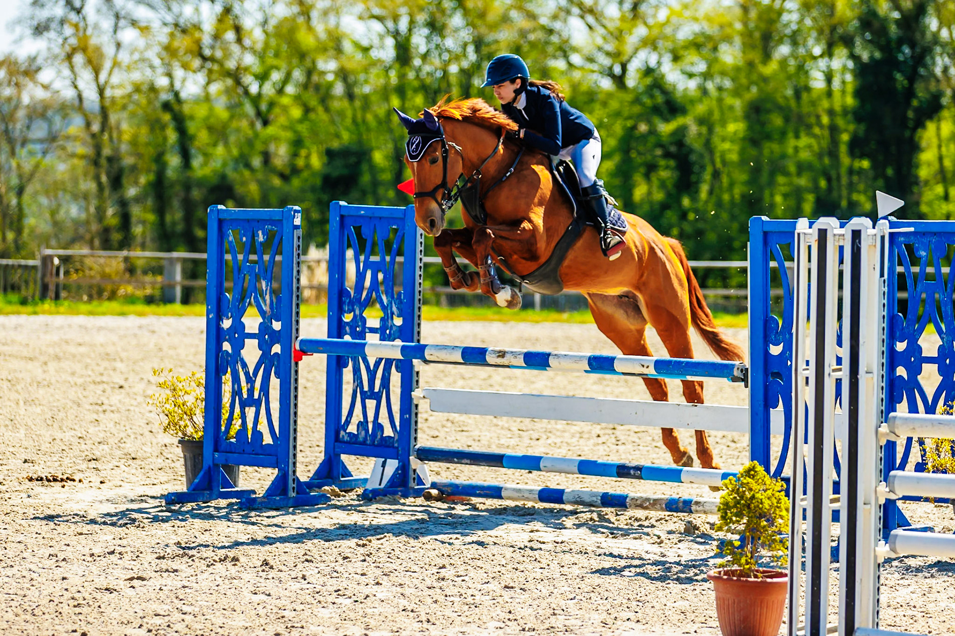 CSO Haras de Monthomé 41