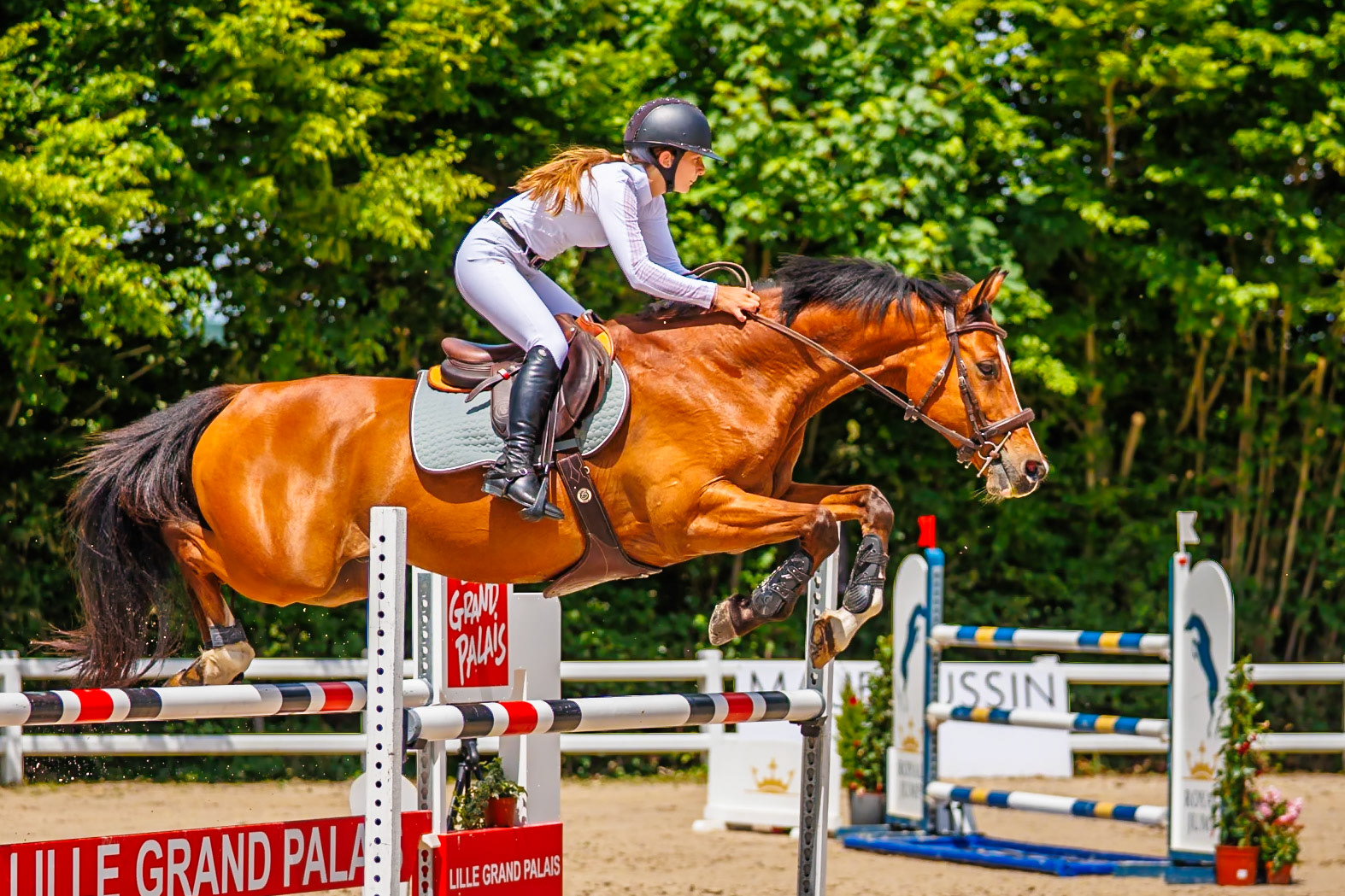 Royal Jump au Château de Brétichère 40