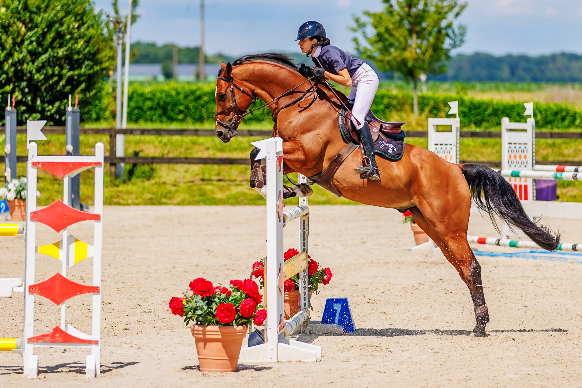 13 juillet 2024 / Haras de Liverdy-en-Brie / Seine-et-Marne / Saut d'obstacles Amateur 1  Grand Prix (1.20 m)