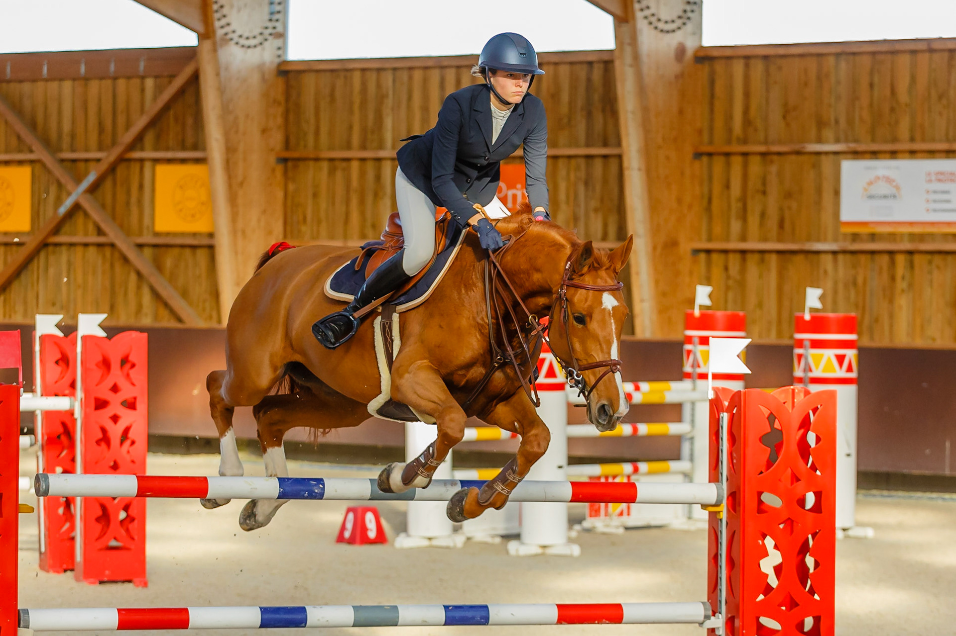 Concours hippique Liverdy-en Brie (77)