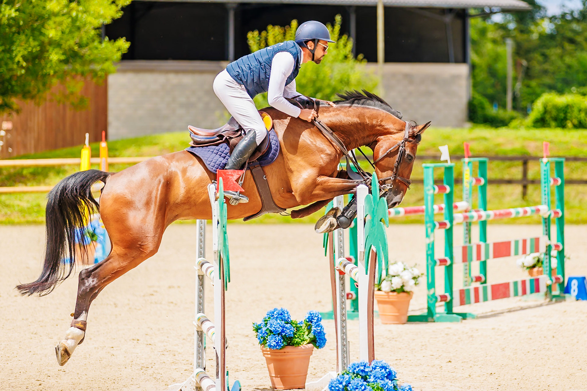 13 juillet 2024 / Haras de Liverdy-en-Brie / Seine-et-Marne / Saut d'obstacles Pro 3 Grand Prix (1.25 m)