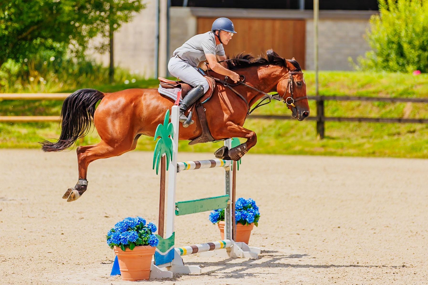 13 juillet 2024 / Haras de Liverdy-en-Brie / Seine-et-Marne / Saut d'obstacles Amateur 1  Grand Prix (1.20 m)