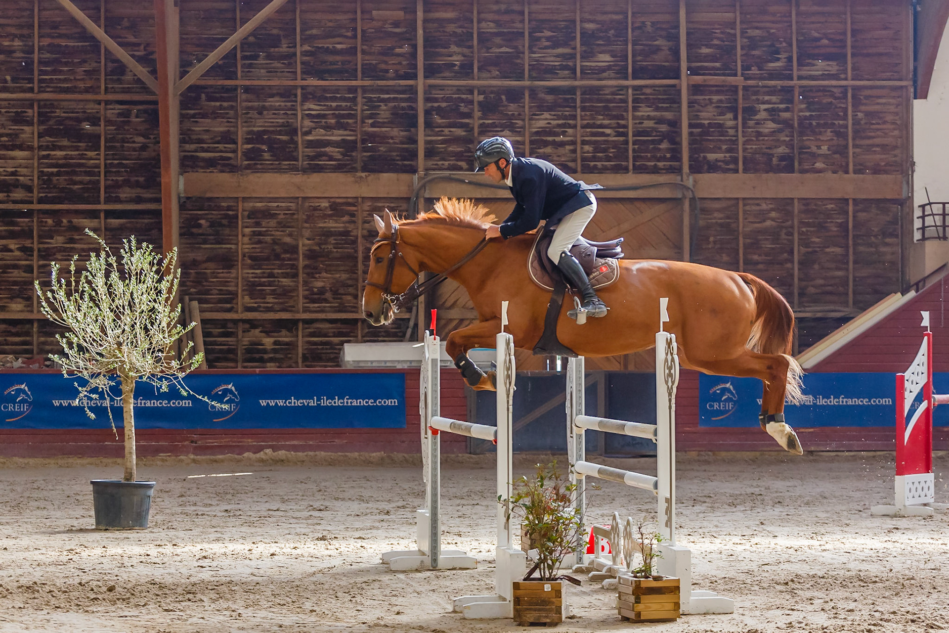 CSO Ozoir-la-Ferrière (77)