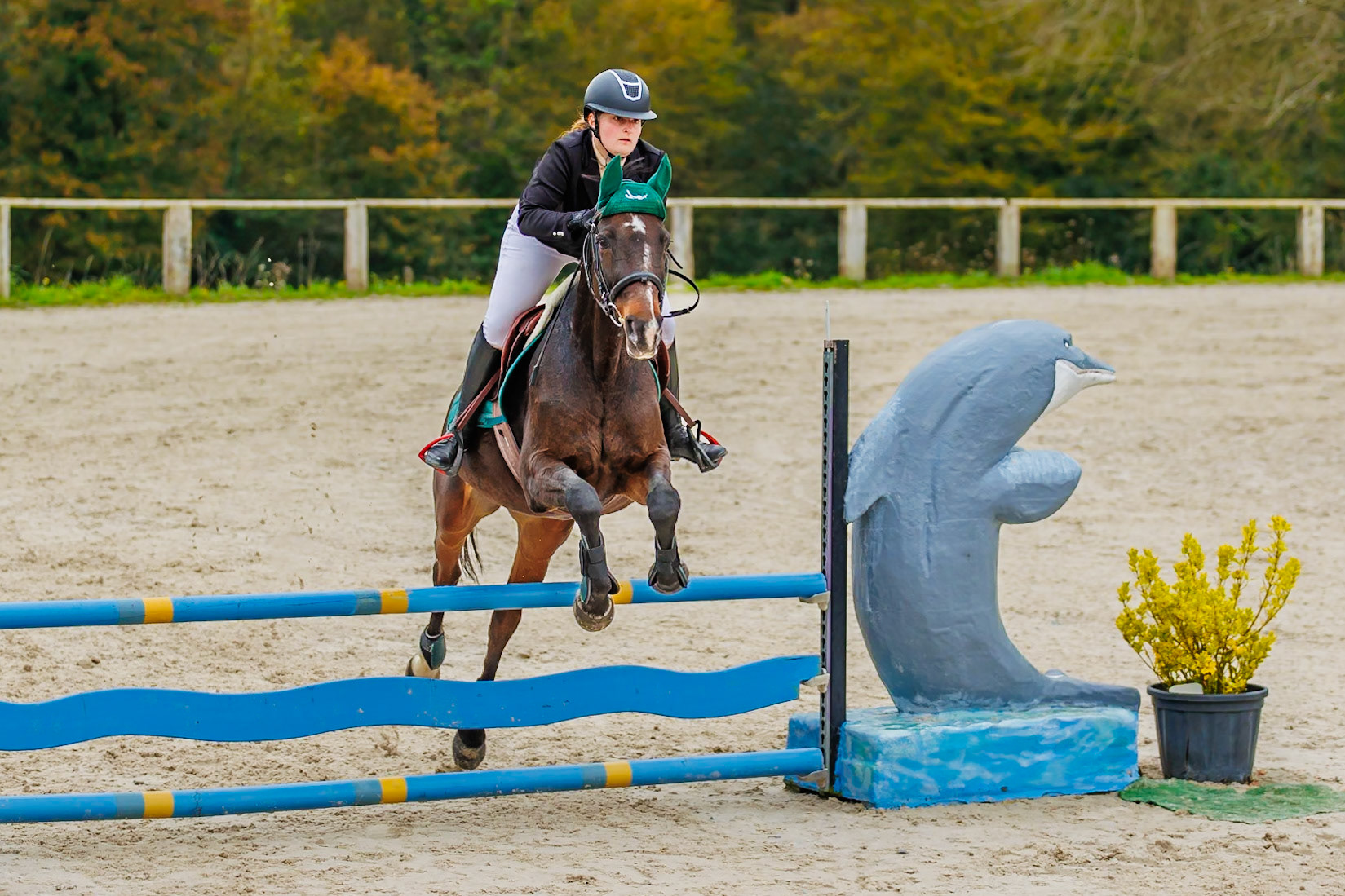 CSO haras De Monthomé