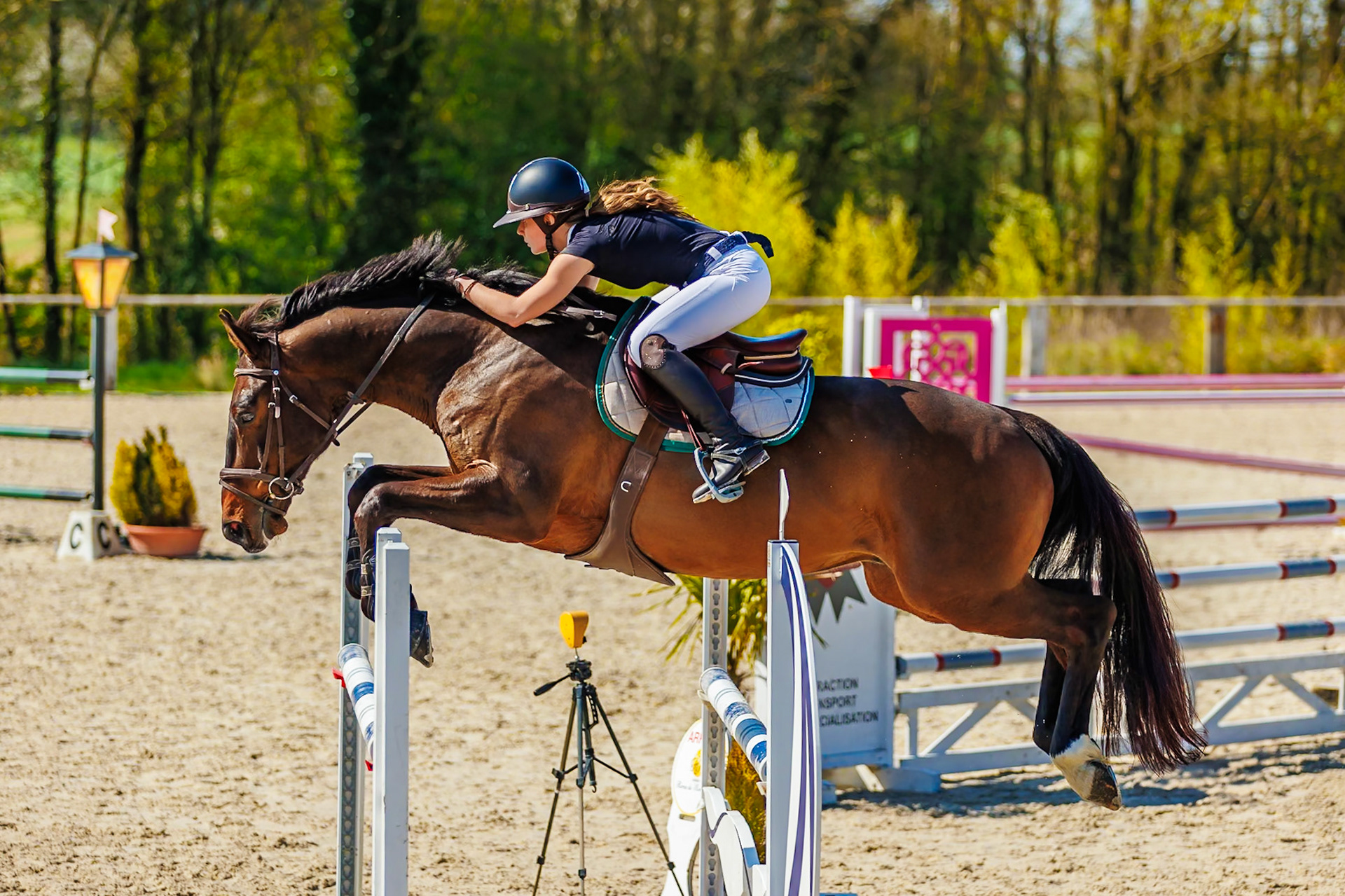 CSO Haras de Monthomé 55