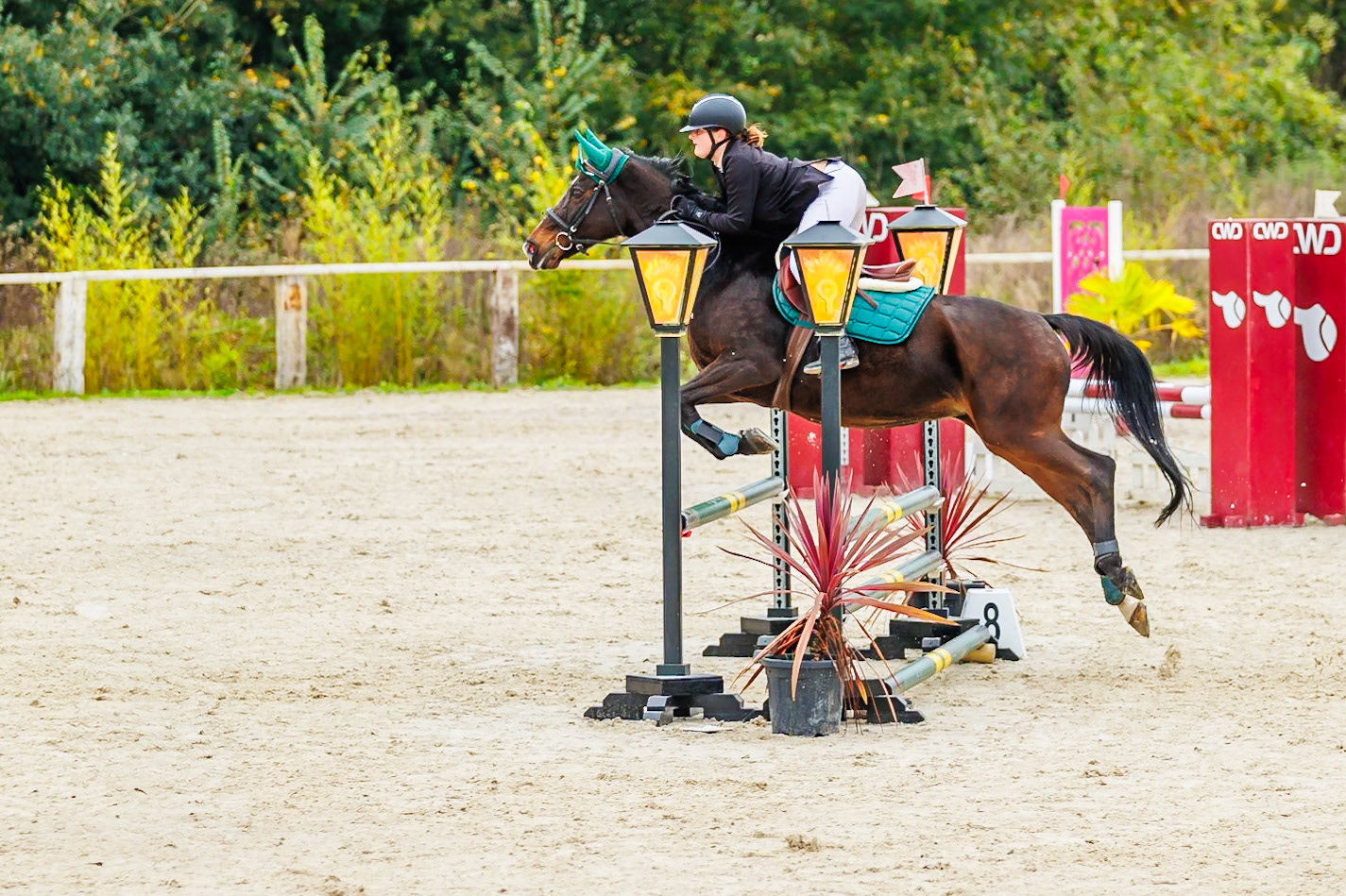 CSO haras De Monthomé