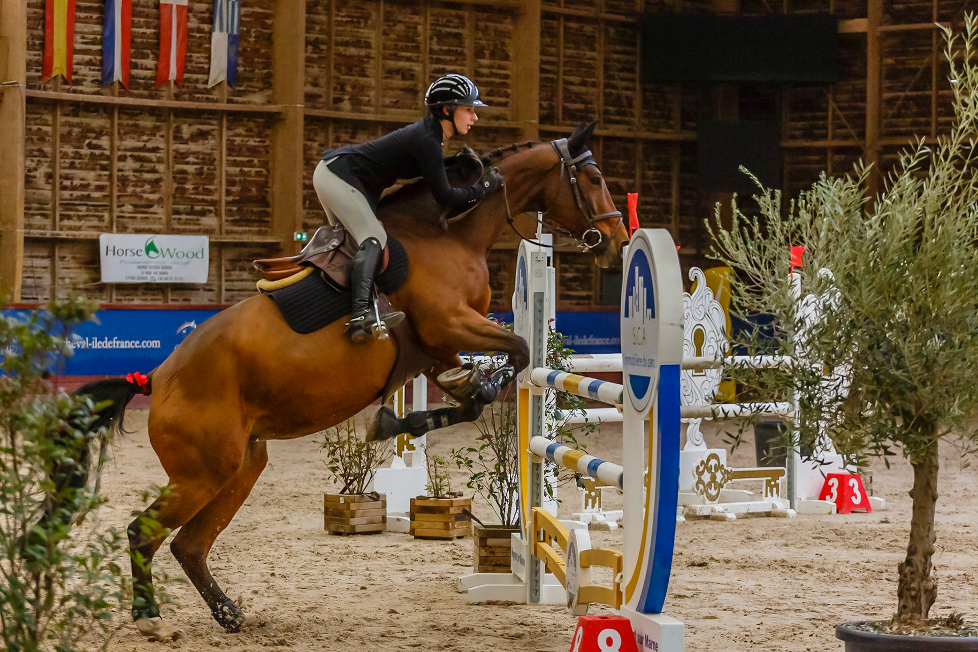 CSO Ozoir-la-Ferrière (77)
