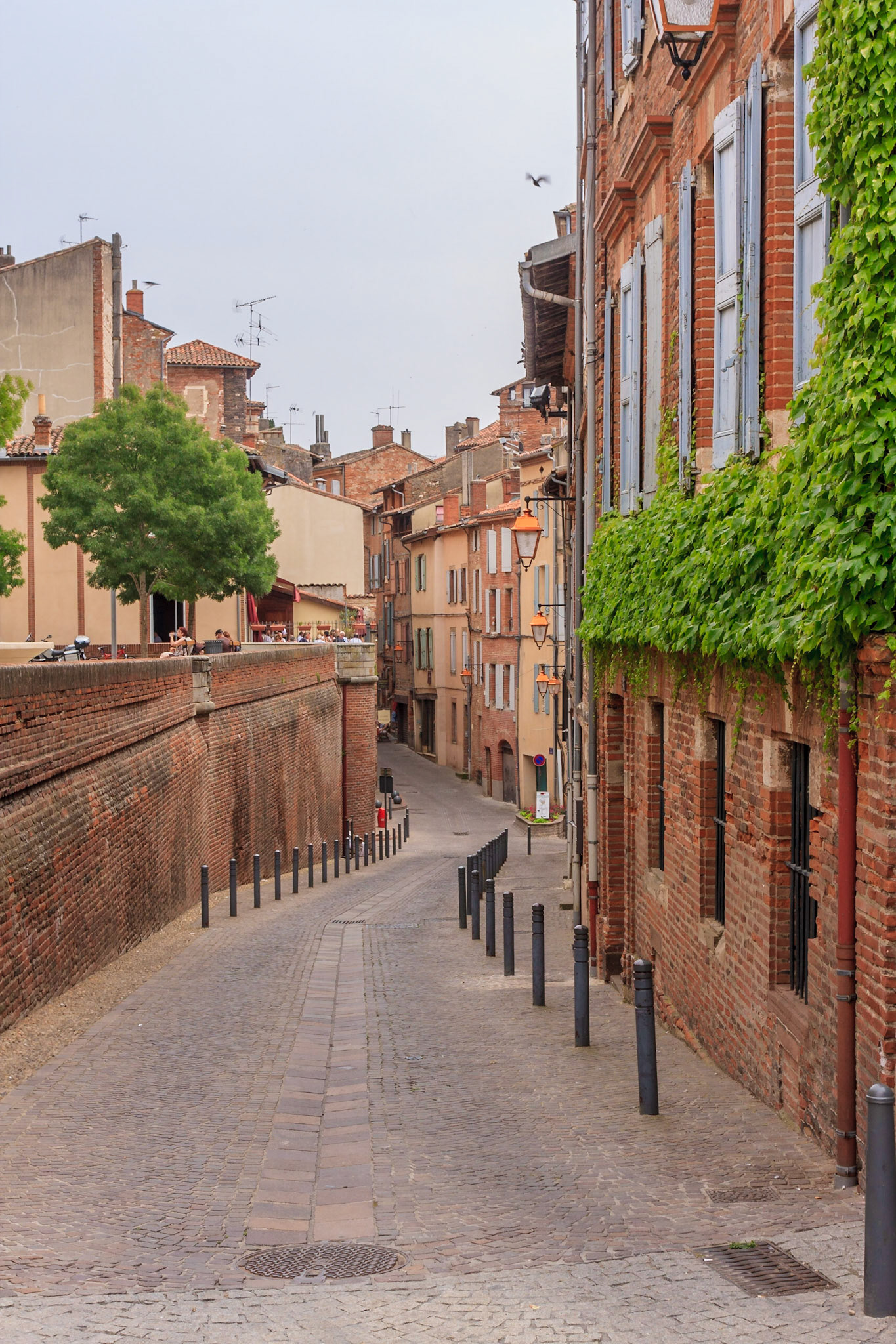 Albi