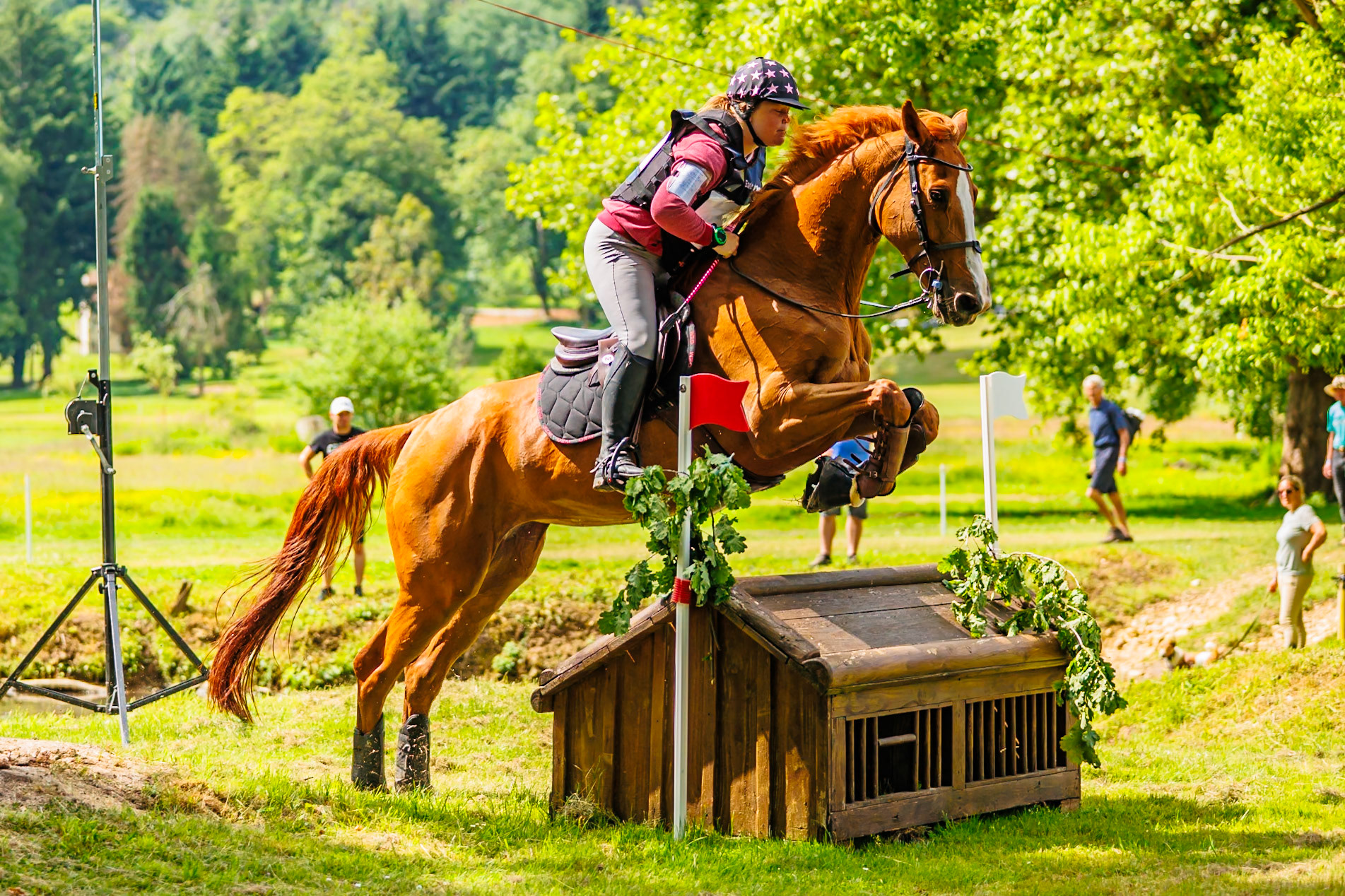 Royal Jump au Château de Brétichère 06