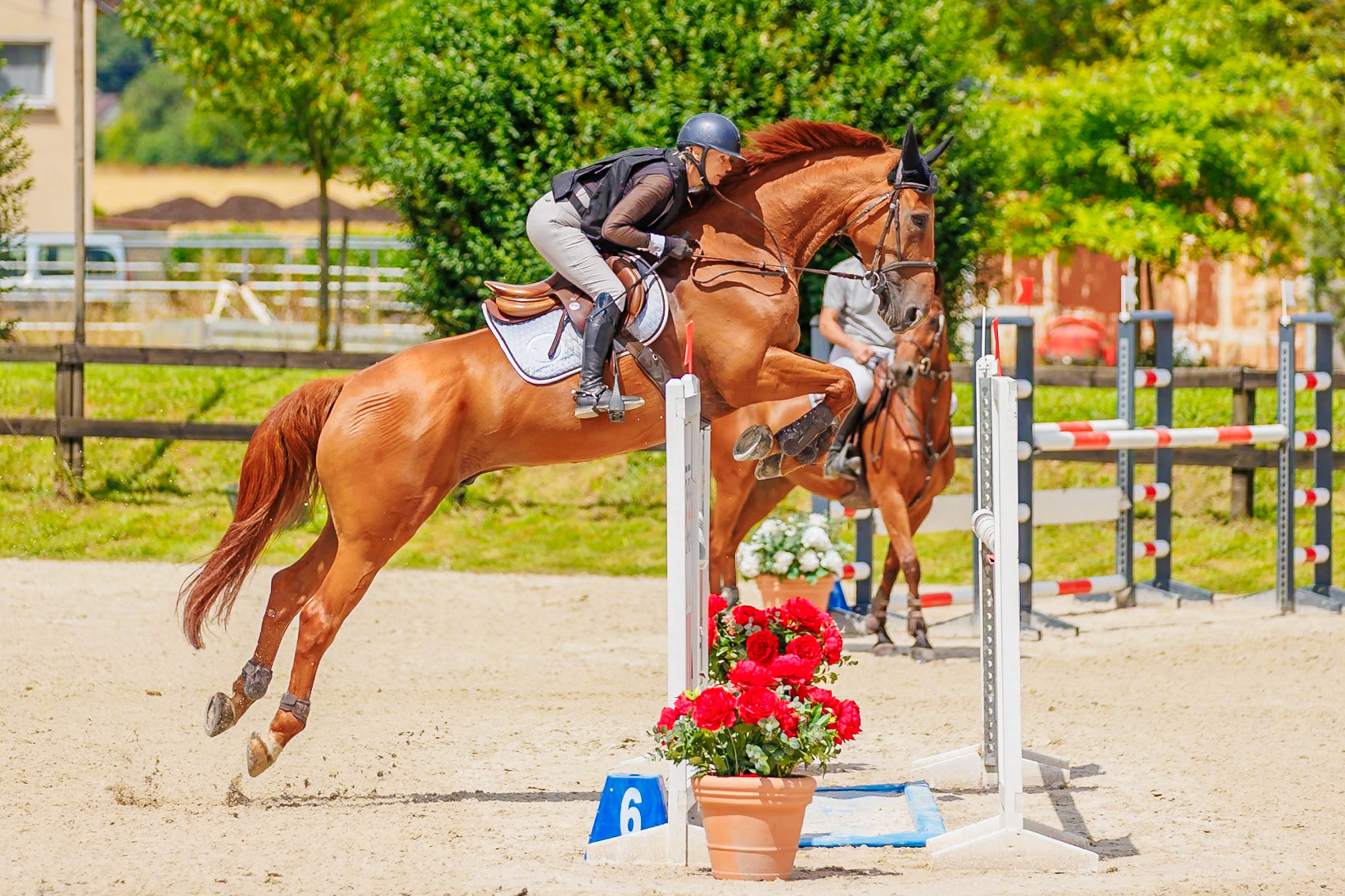 13 juillet 2024 / Haras de Liverdy-en-Brie / Seine-et-Marne / Saut d'obstacles Amateur 1  Grand Prix (1.20 m)