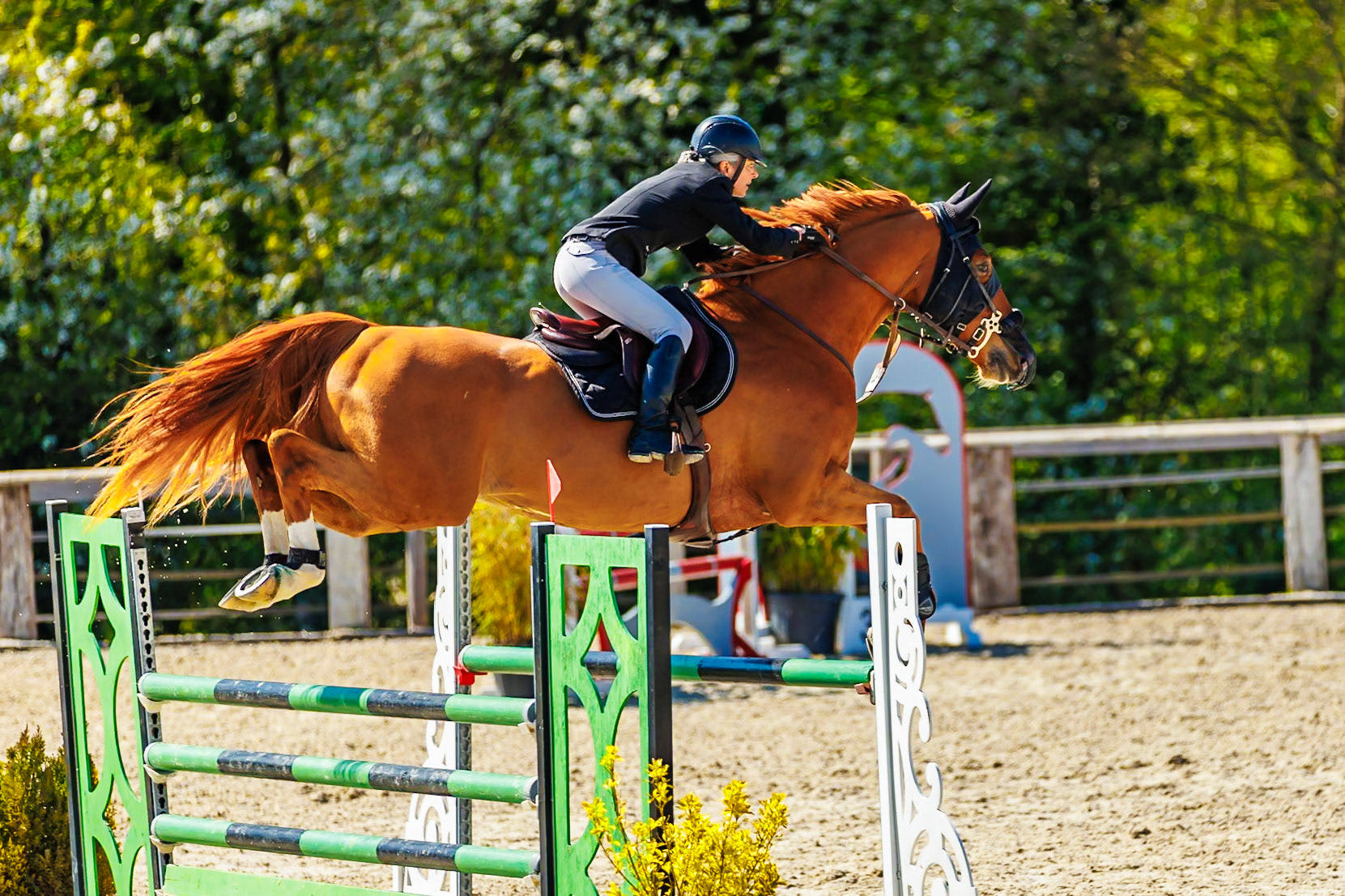 CSO Haras de Monthomé 58