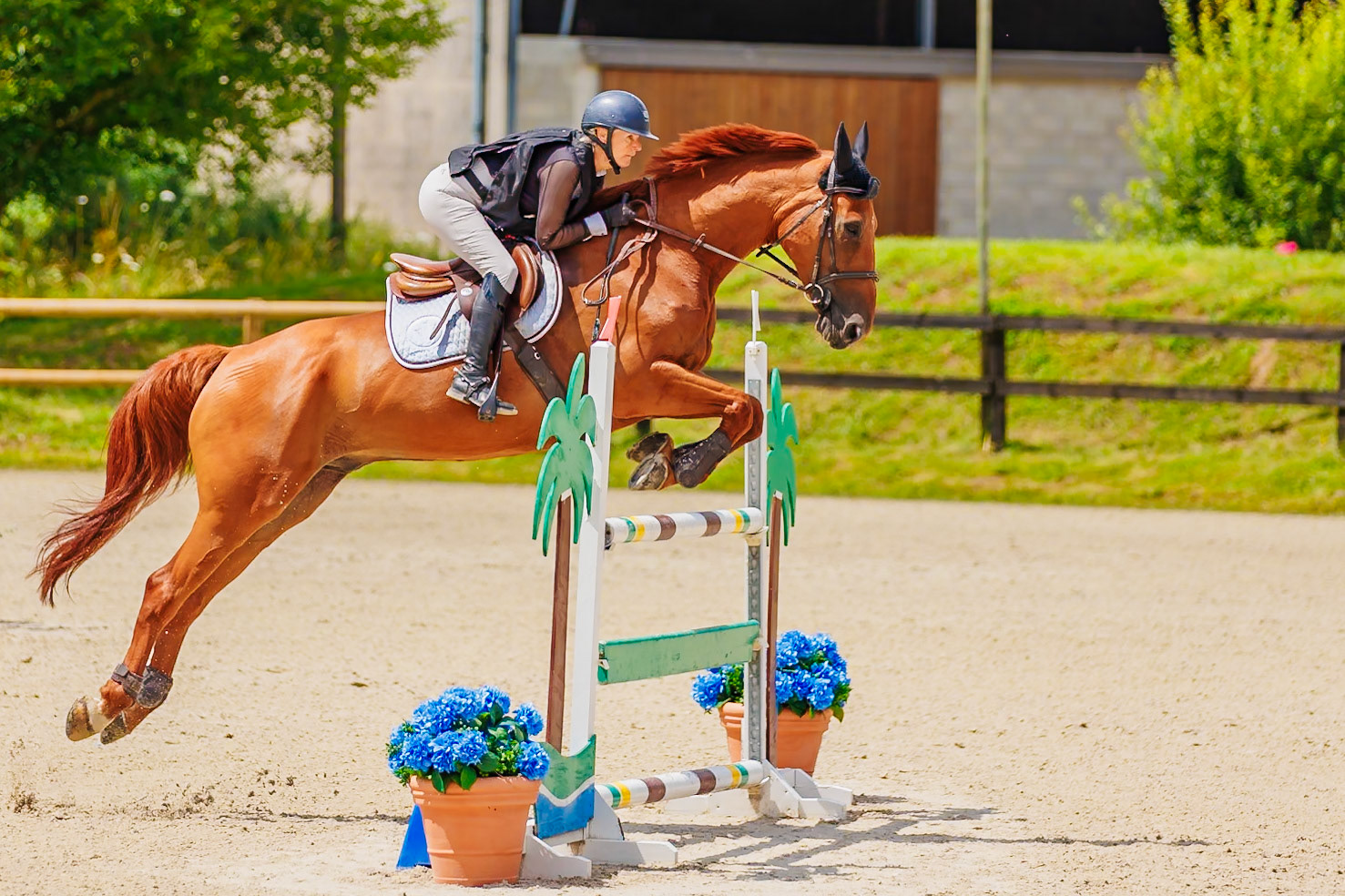 13 juillet 2024 / Haras de Liverdy-en-Brie / Seine-et-Marne / Saut d'obstacles Amateur 1  Grand Prix (1.20 m)
