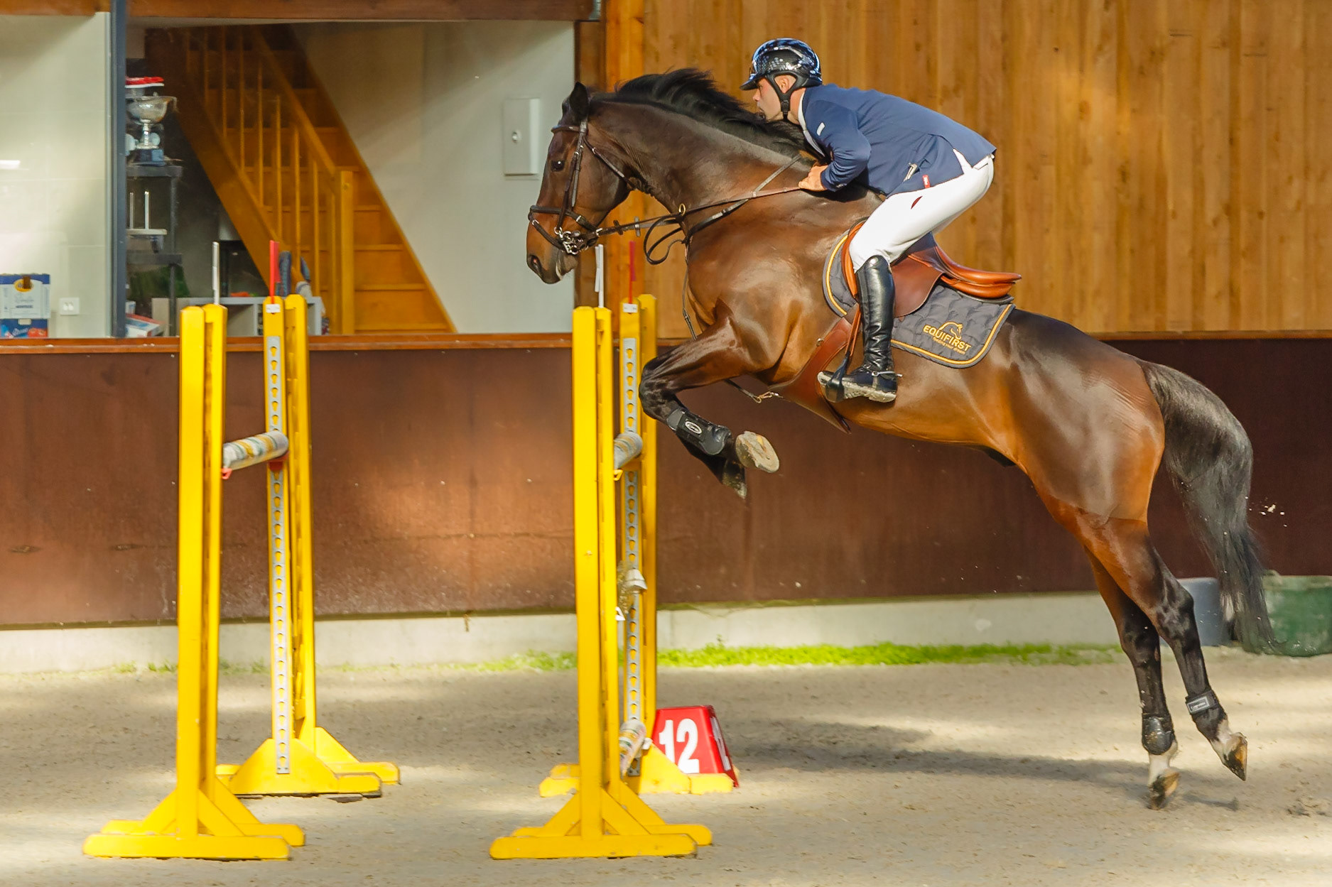Concours hippique Liverdy-en Brie (77)