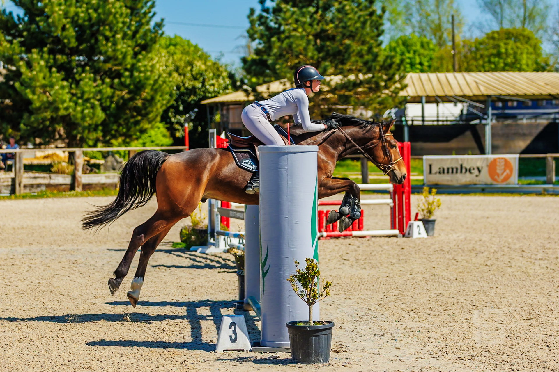 CSO Haras de Monthomé 10