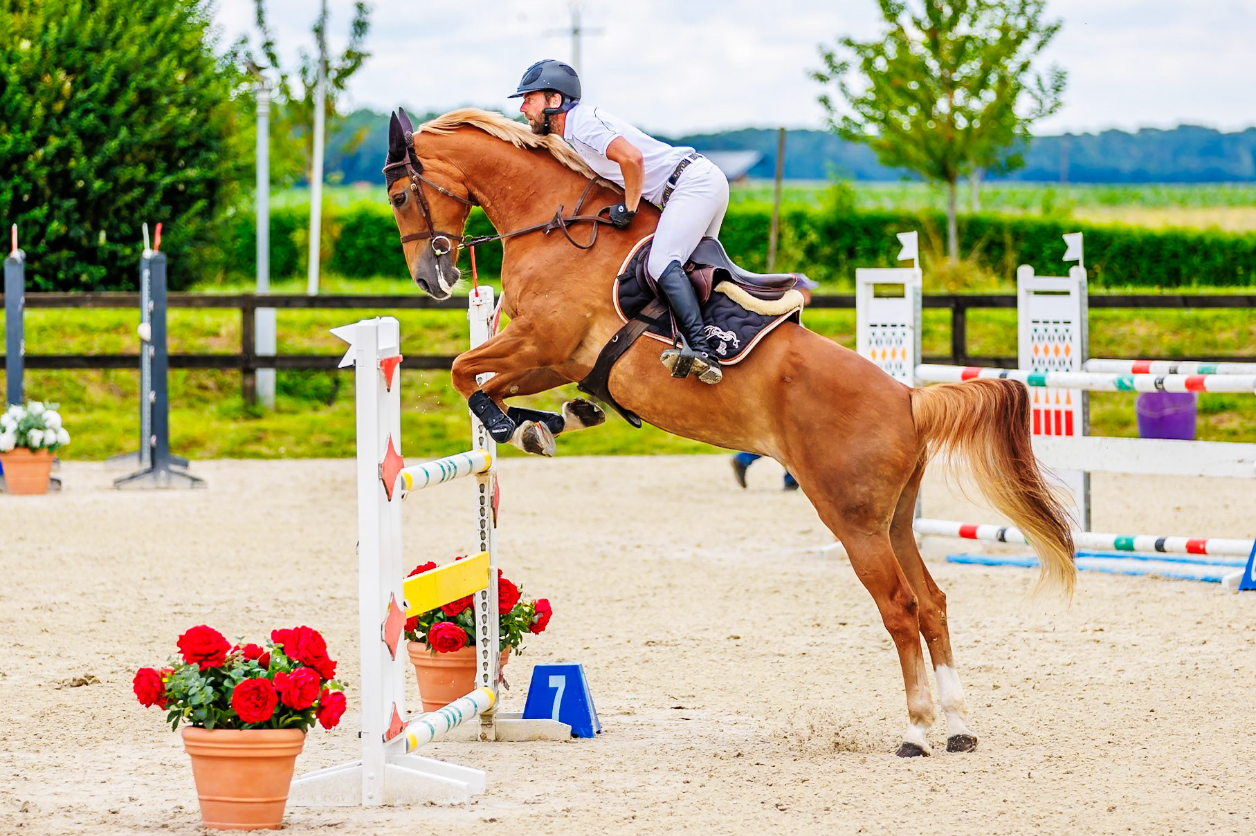 13 juillet 2024 / Haras de Liverdy-en-Brie / Seine-et-Marne / Saut d'obstacles Pro 3 Grand Prix (1.25 m)