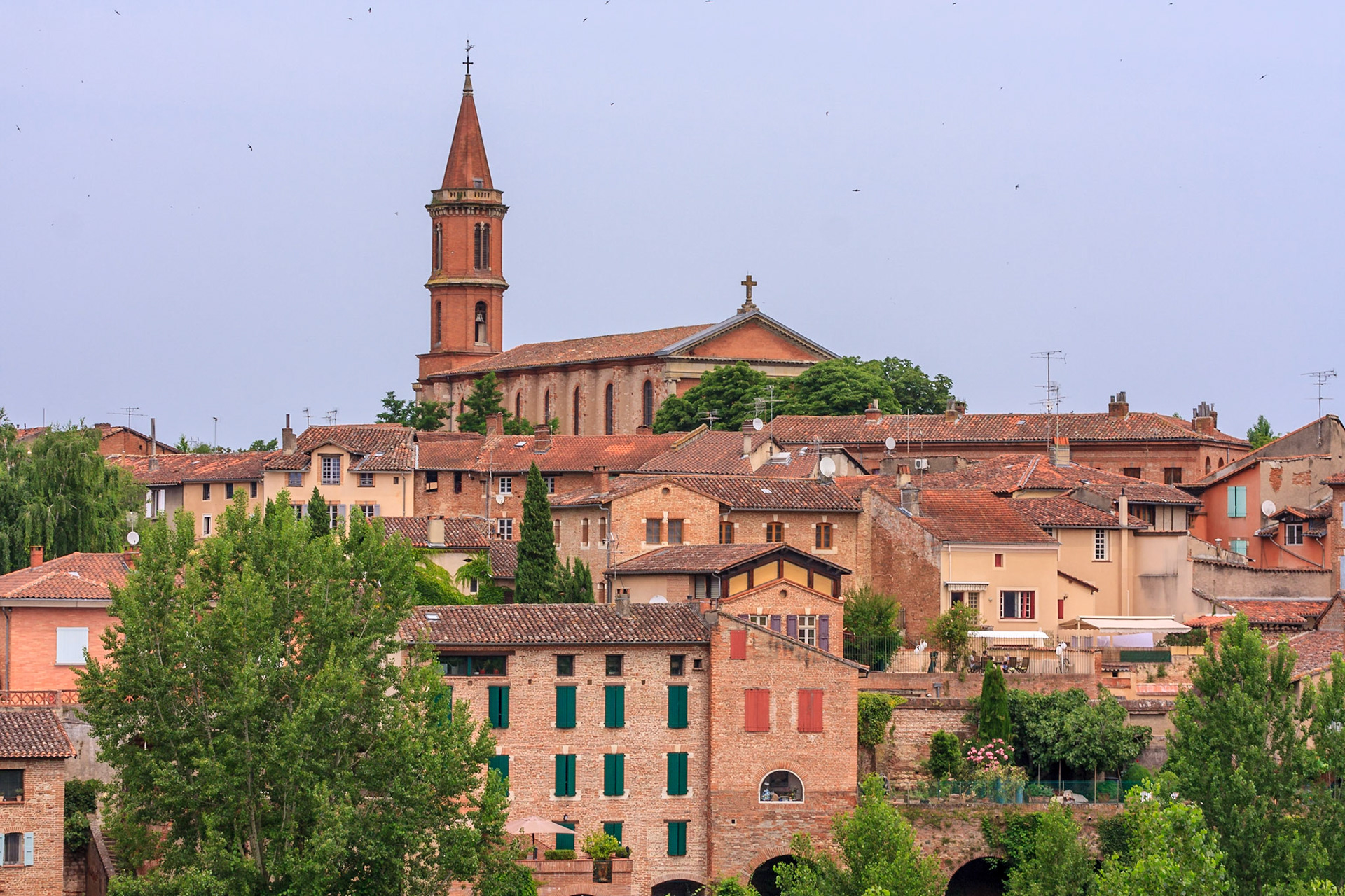 Albi