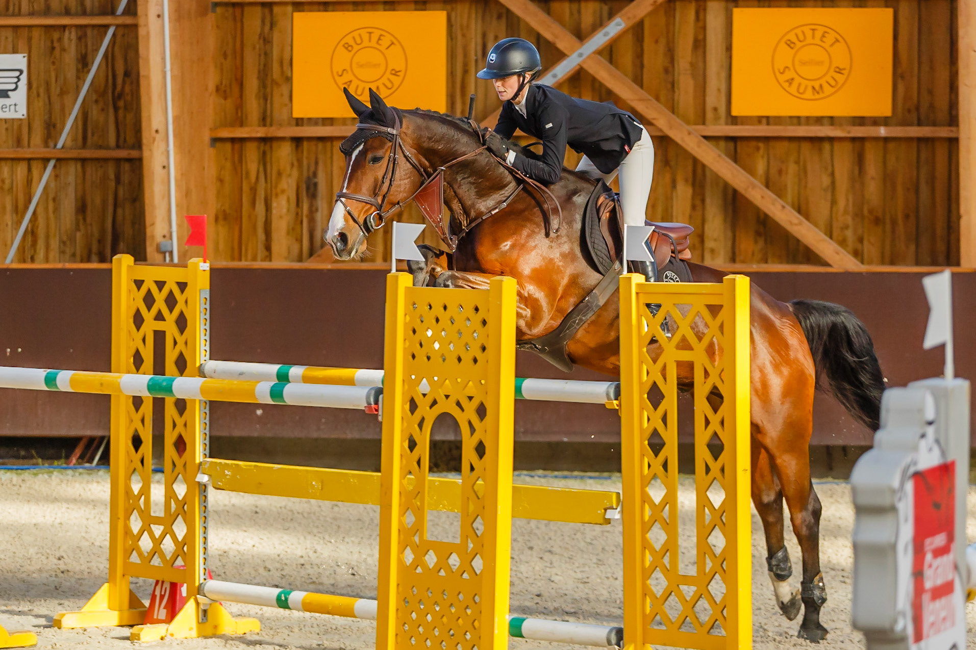 Concours hippique Liverdy-en Brie (77)