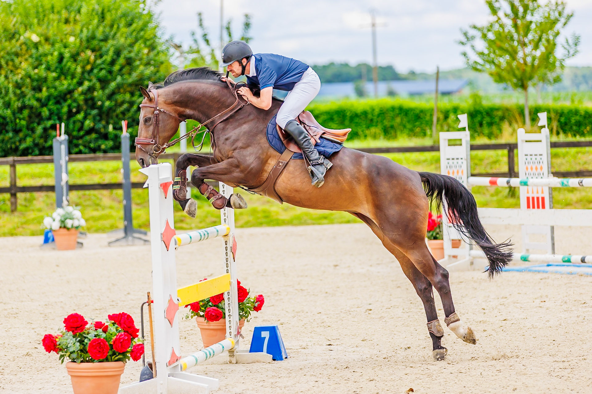 13 juillet 2024 / Haras de Liverdy-en-Brie / Seine-et-Marne / Saut d'obstacles Pro 3 Grand Prix (1.25 m)
