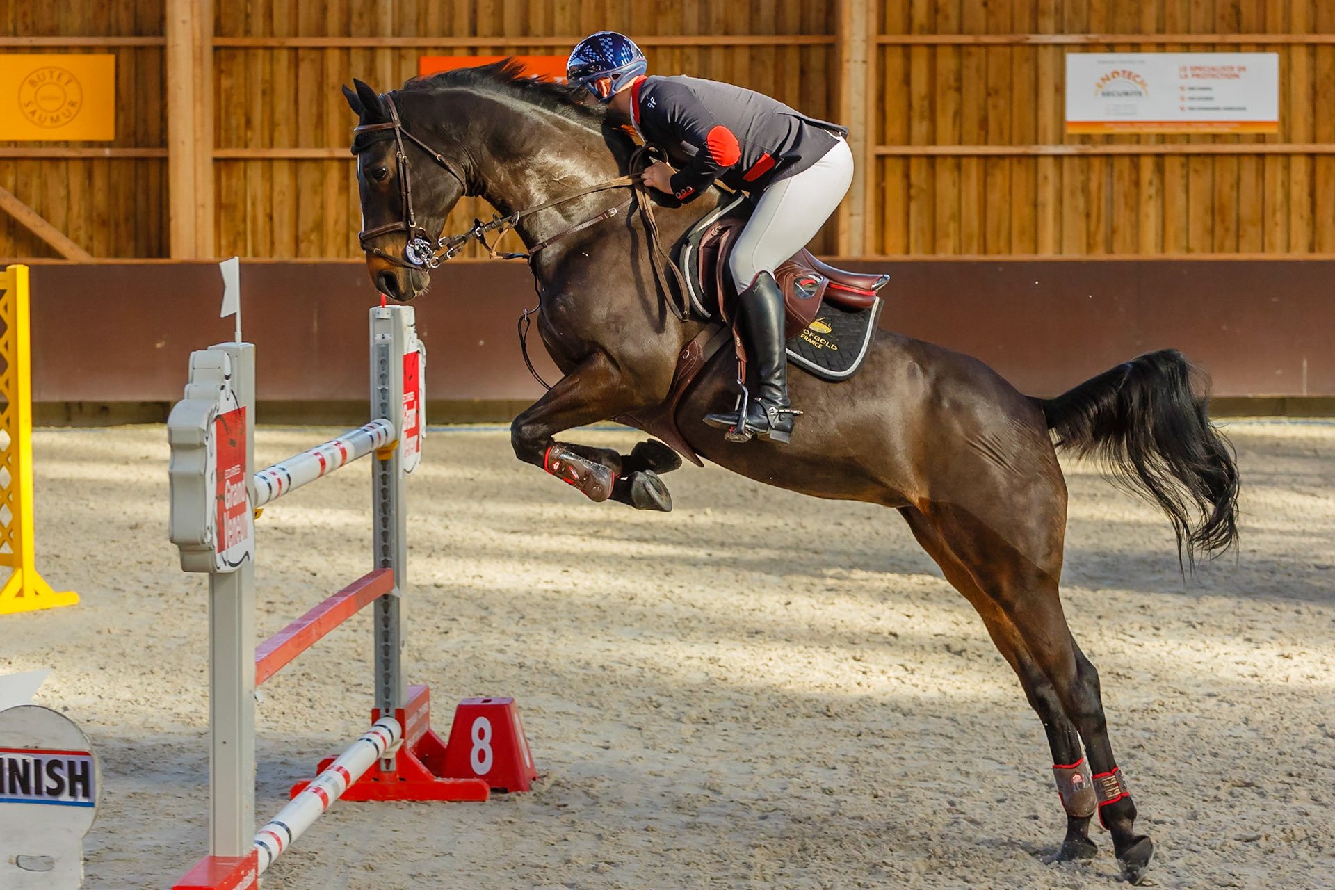 Concours hippique Liverdy-en Brie (77)