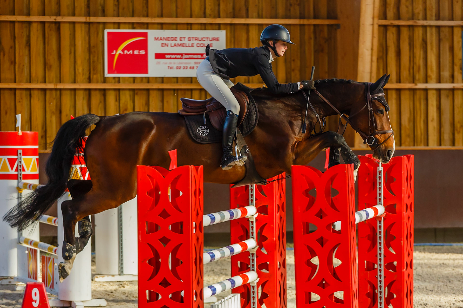 Concours hippique Liverdy-en Brie (77)