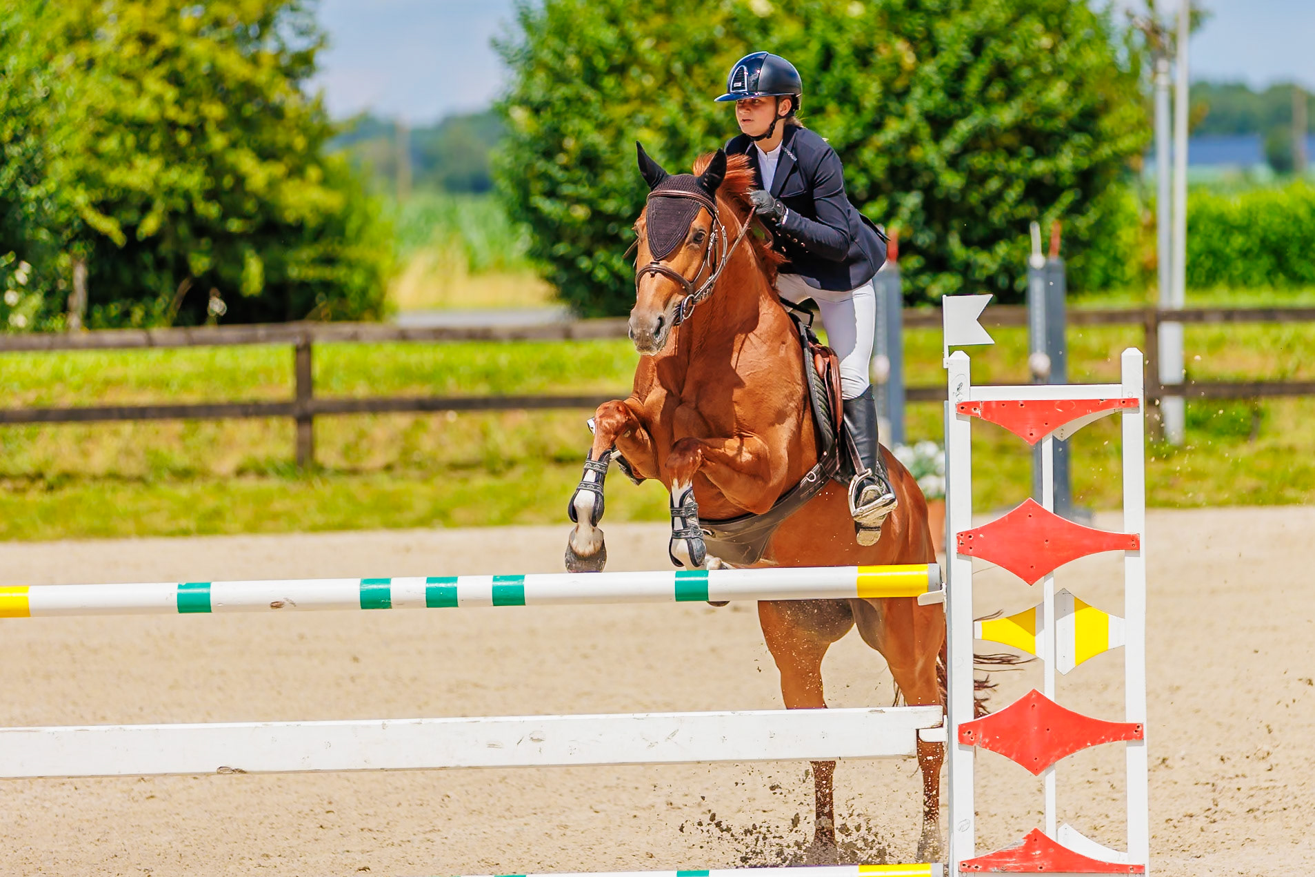13 juillet 2024 / Haras de Liverdy-en-Brie / Seine-et-Marne / Saut d'obstacles Amateur 1  Grand Prix (1.20 m)