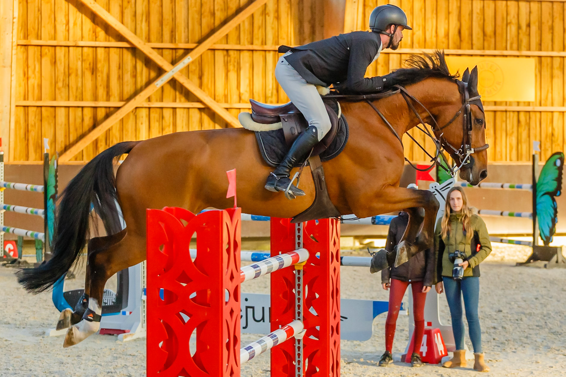 Concours hippique Liverdy-en Brie (77)