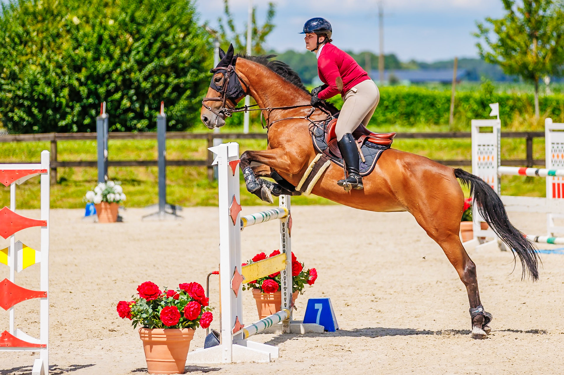 13 juillet 2024 / Haras de Liverdy-en-Brie / Seine-et-Marne / Saut d'obstacles Amateur 1  Grand Prix (1.20 m)