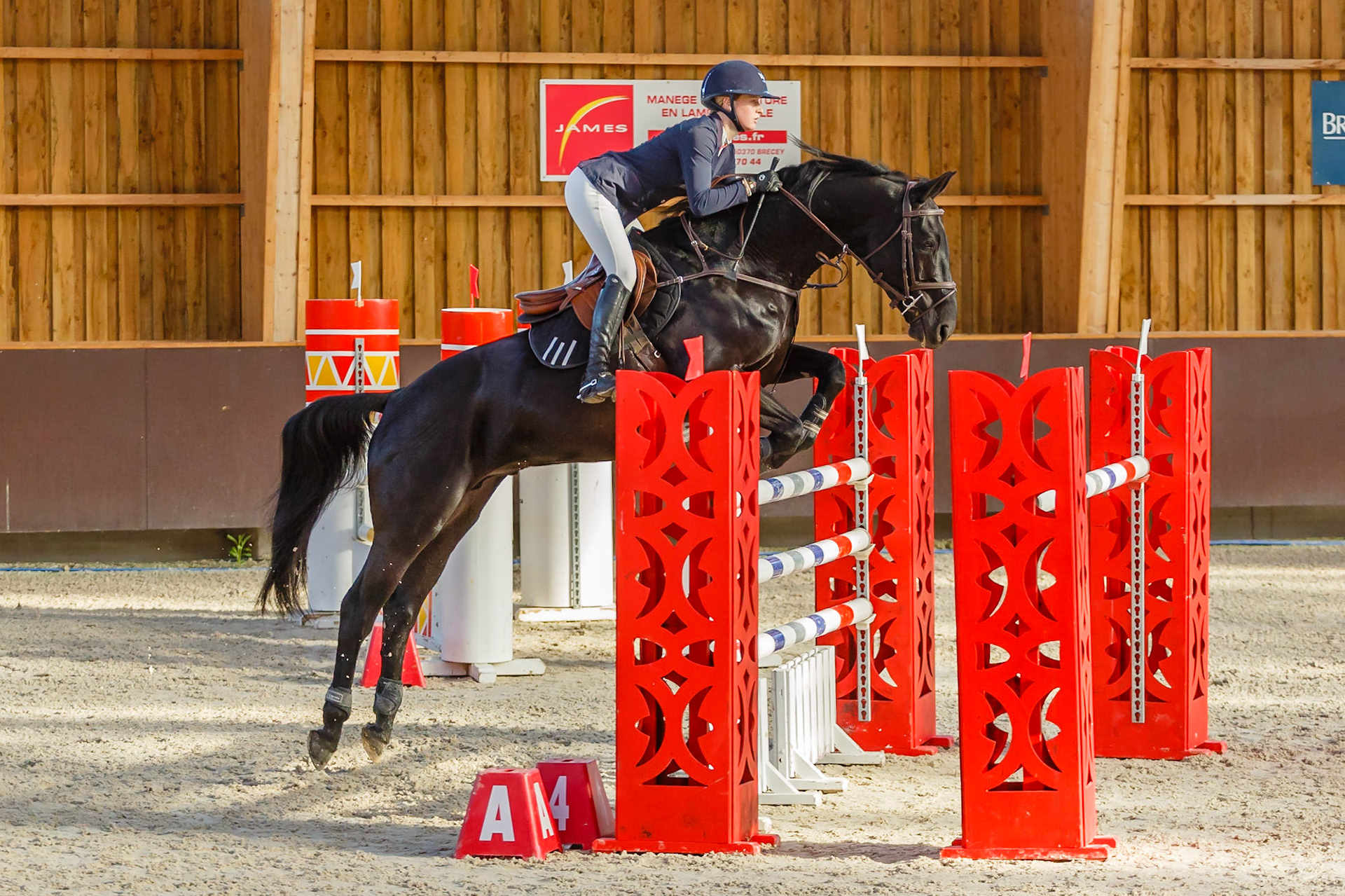 Concours hippique Liverdy-en Brie (77)