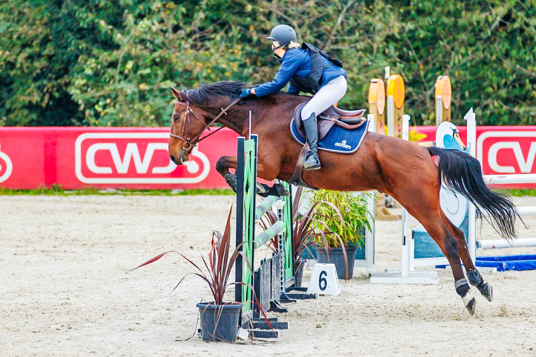 CSO haras De Monthomé