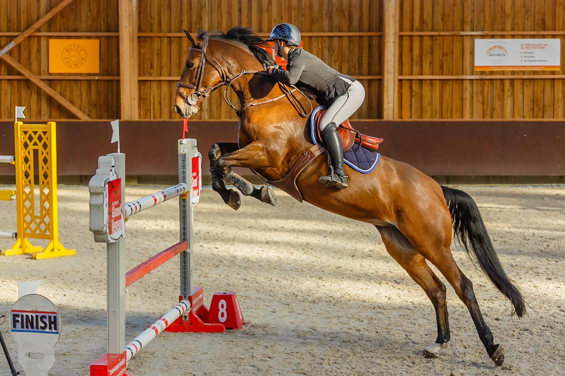 Concours hippique Liverdy-en Brie (77)