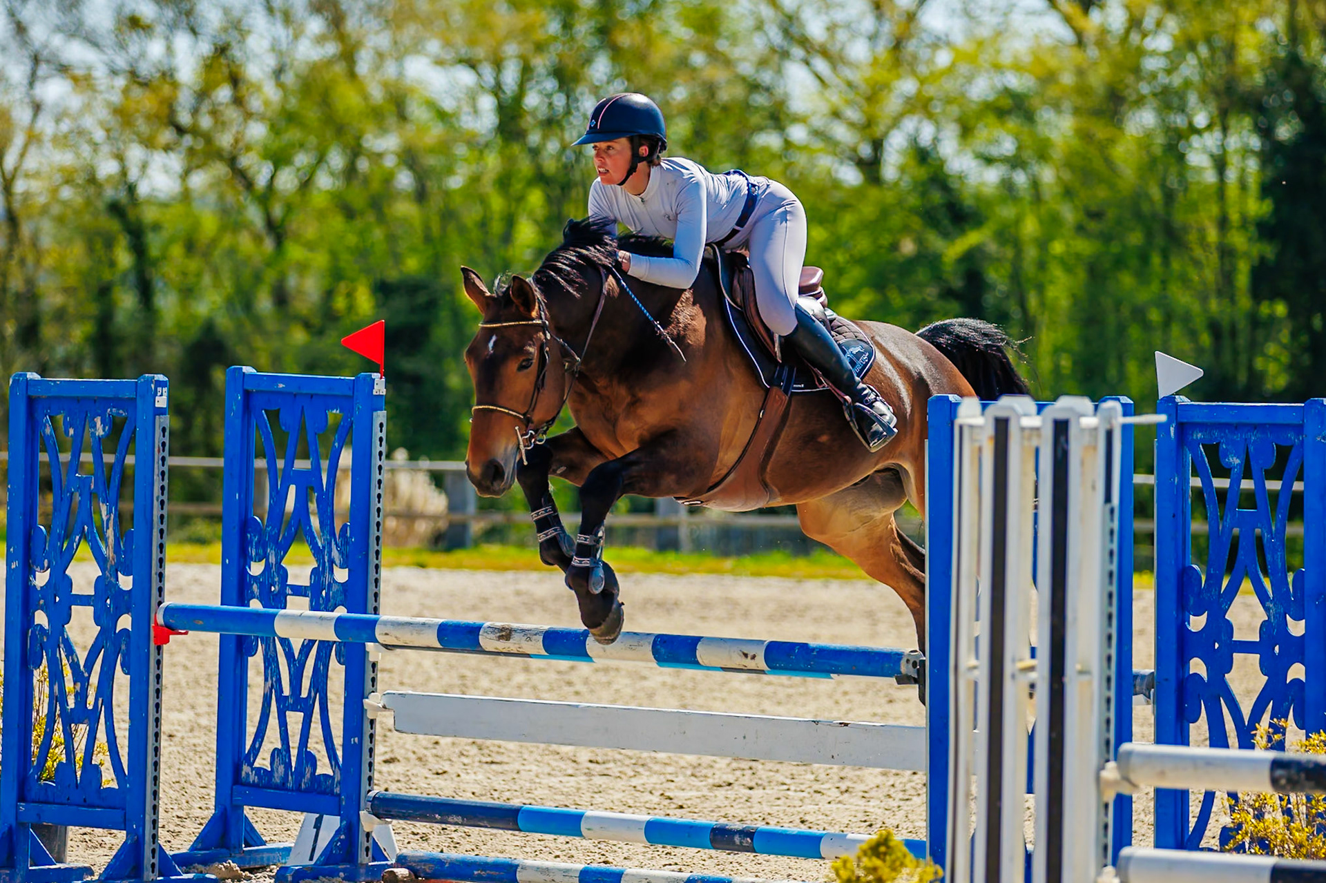 CSO Haras de Monthomé 09