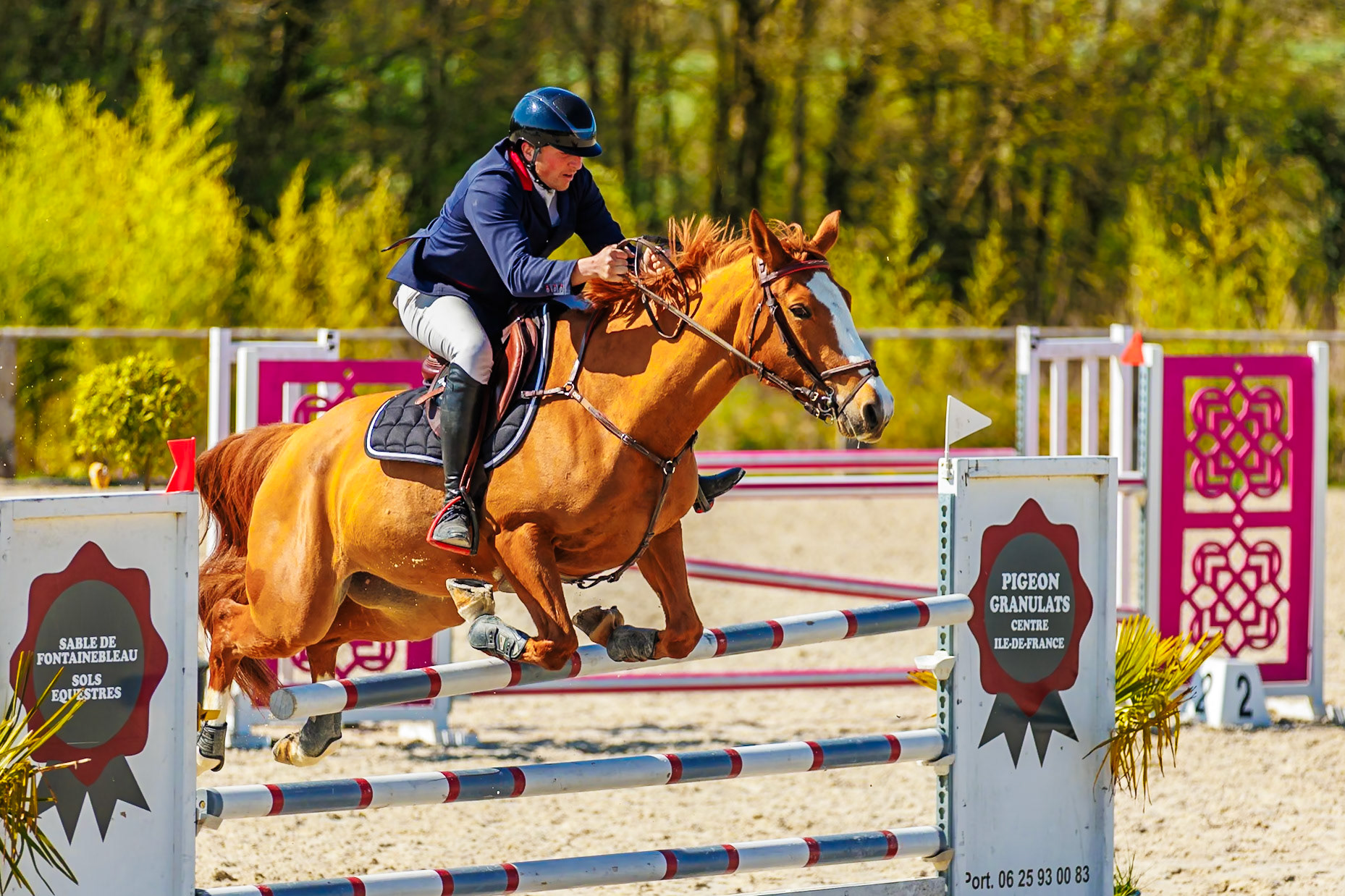 CSO Haras de Monthomé 53