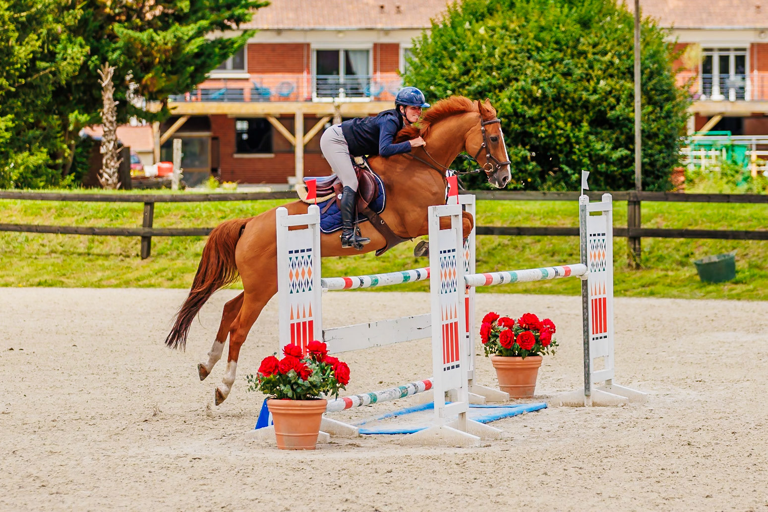 13 juillet 2024 / Haras de Liverdy-en-Brie / Seine-et-Marne / Saut d'obstacles Pro 3 Grand Prix (1.25 m)