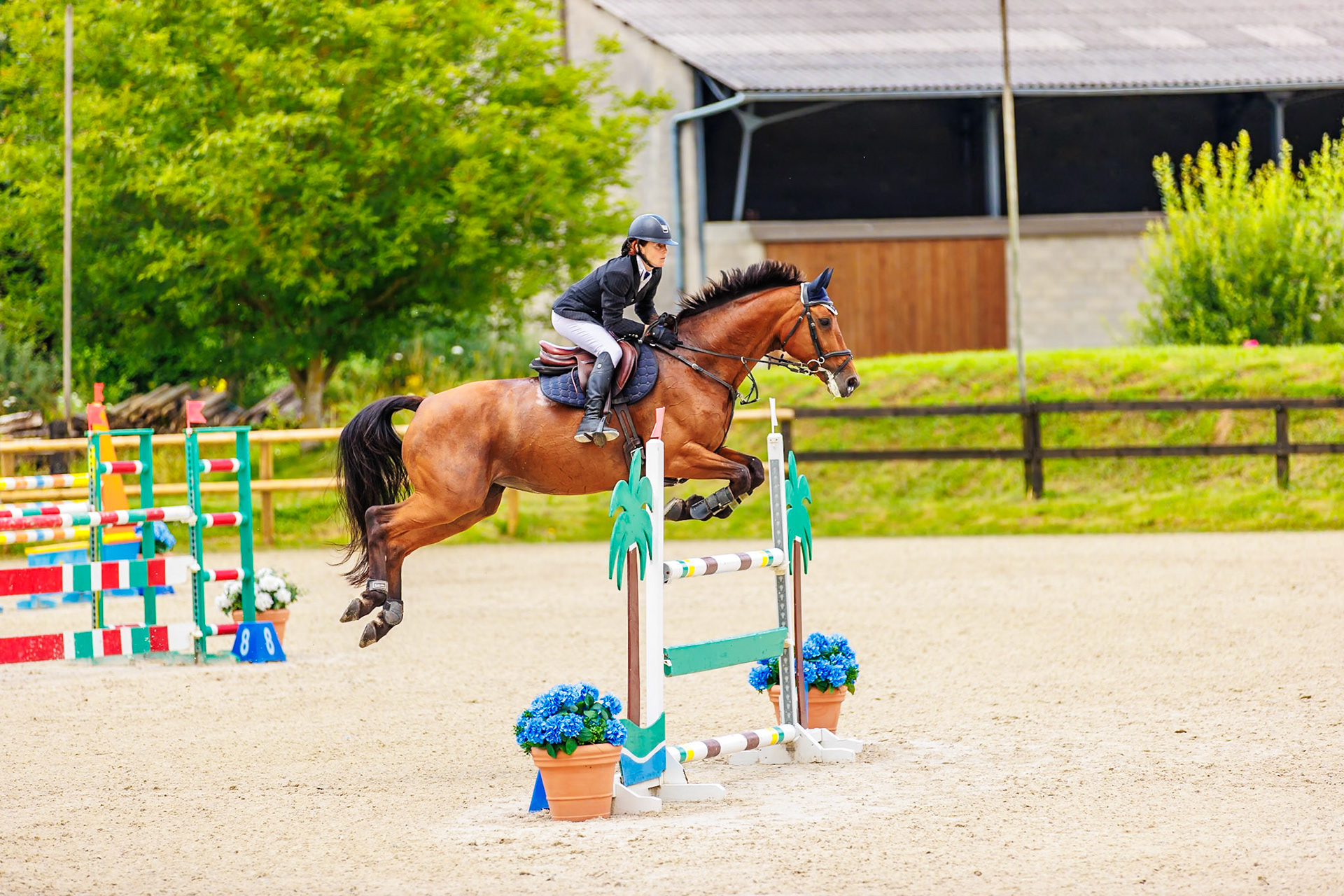 13 juillet 2024 / Haras de Liverdy-en-Brie / Seine-et-Marne / Saut d'obstacles Pro 3 Grand Prix (1.25 m)