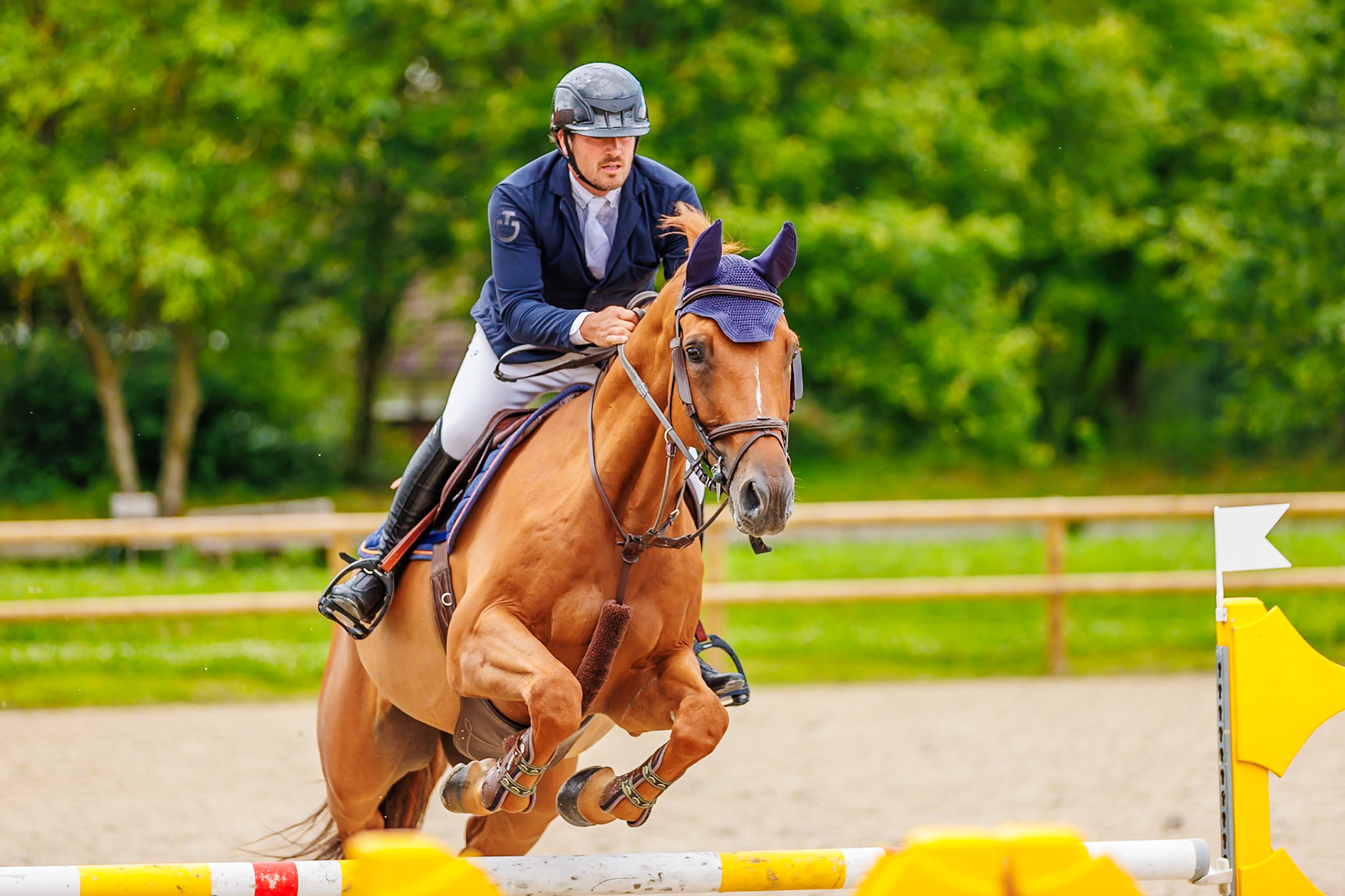 13 juillet 2024 / Haras de Liverdy-en-Brie / Seine-et-Marne / Saut d'obstacles Pro 3 Grand Prix (1.25 m)
