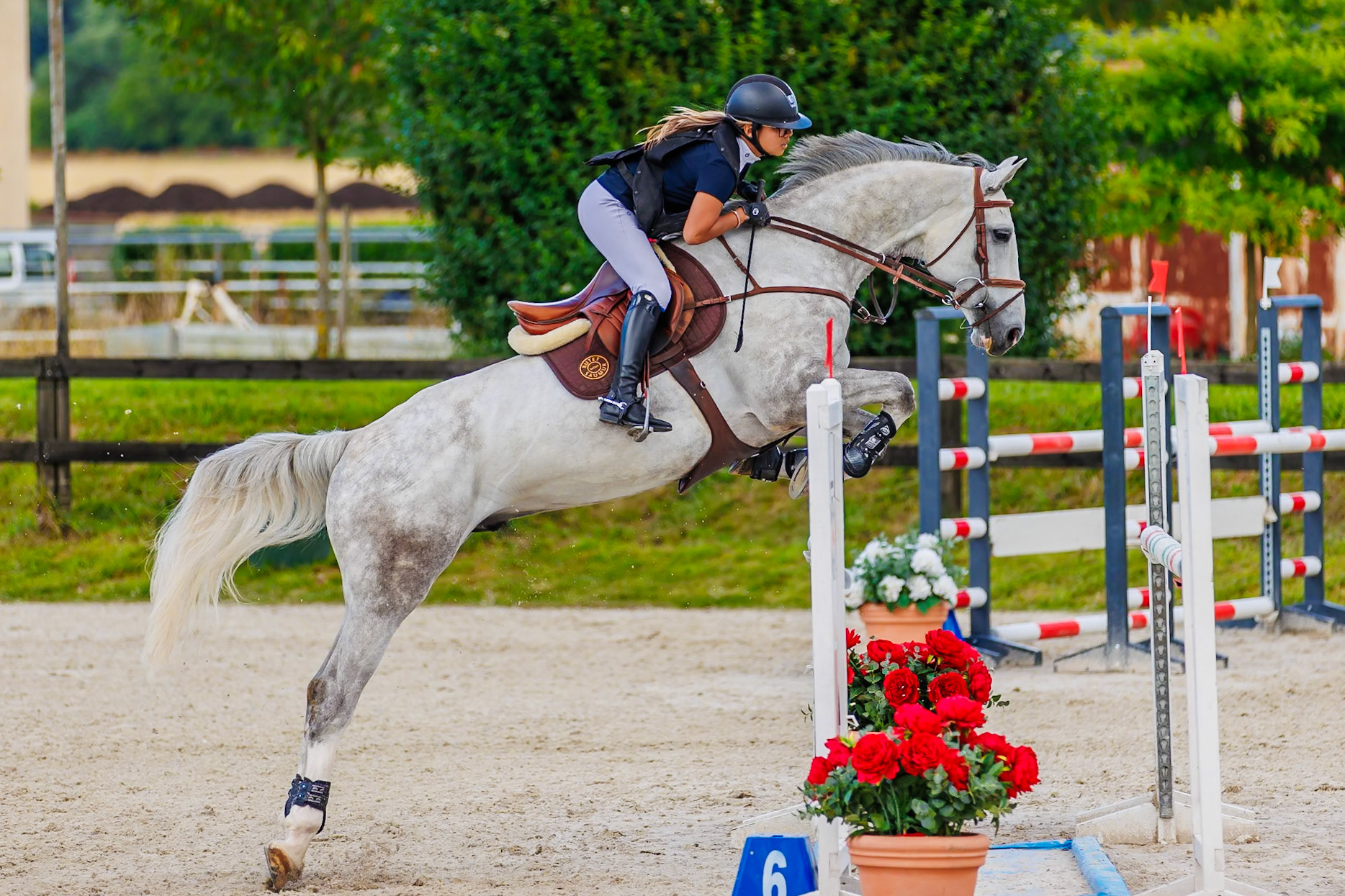 13 juillet 2024 / Haras de Liverdy-en-Brie / Seine-et-Marne / Saut d'obstacles Amateur 1  Grand Prix (1.20 m)