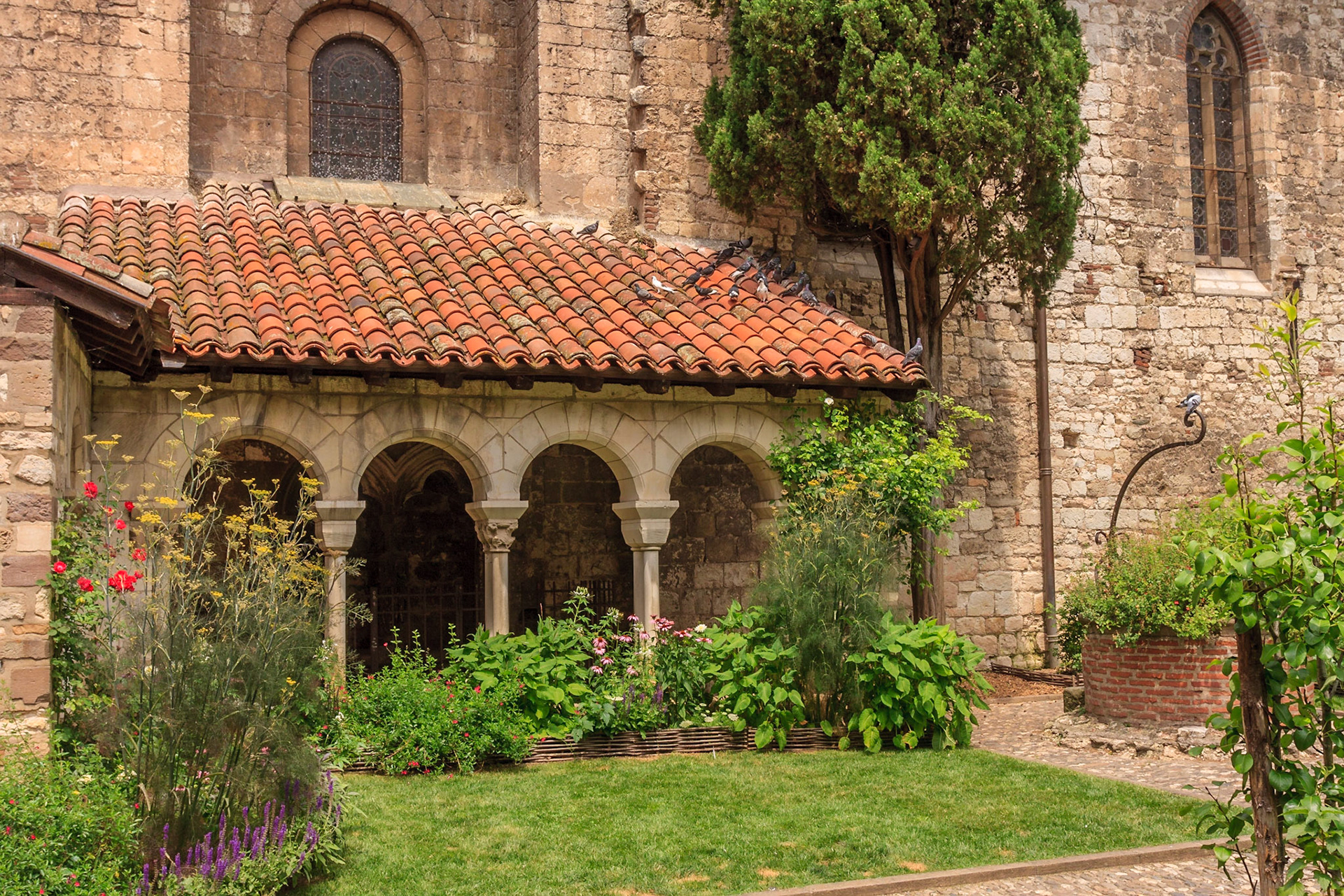 Albi