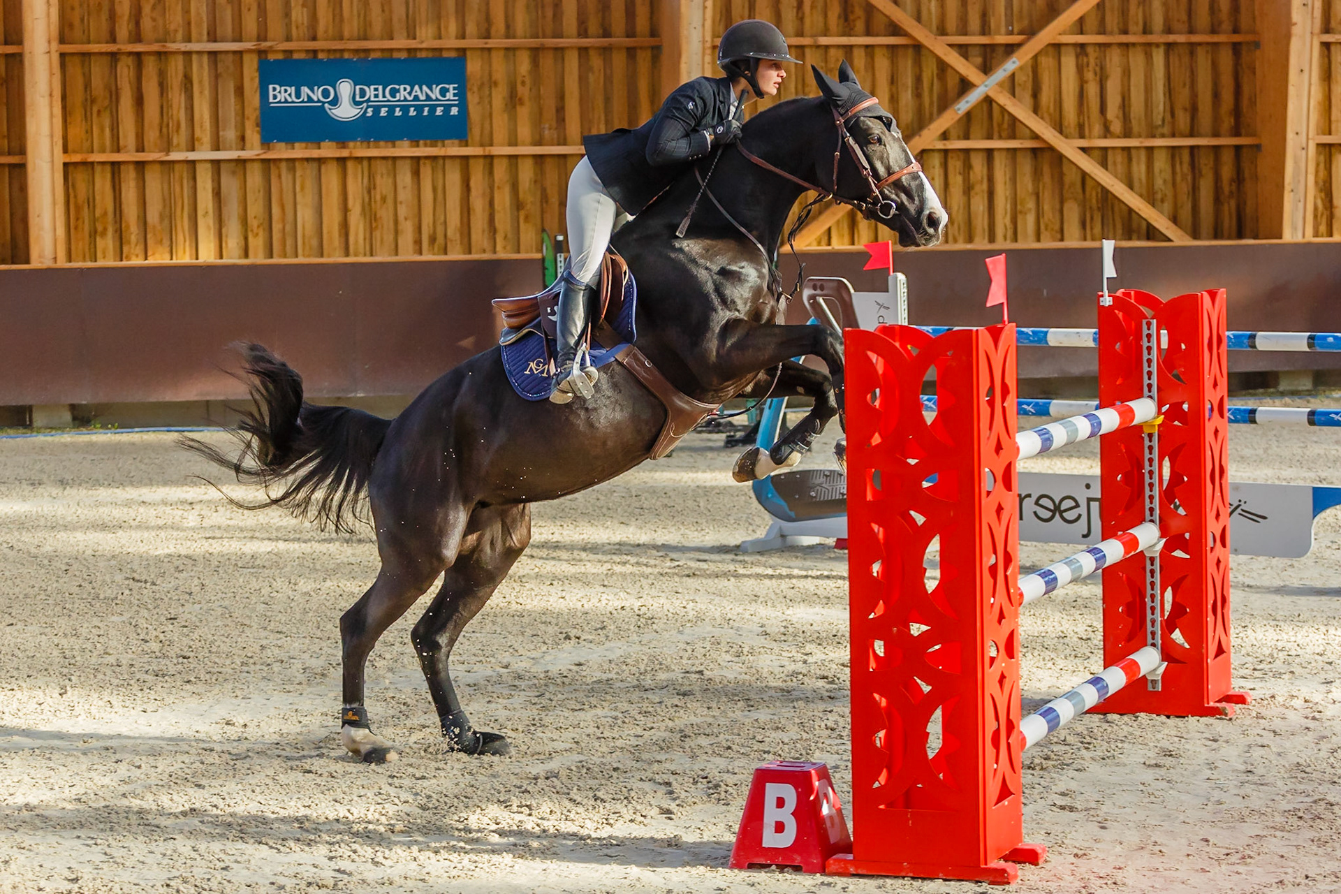 Concours hippique Liverdy-en Brie (77)