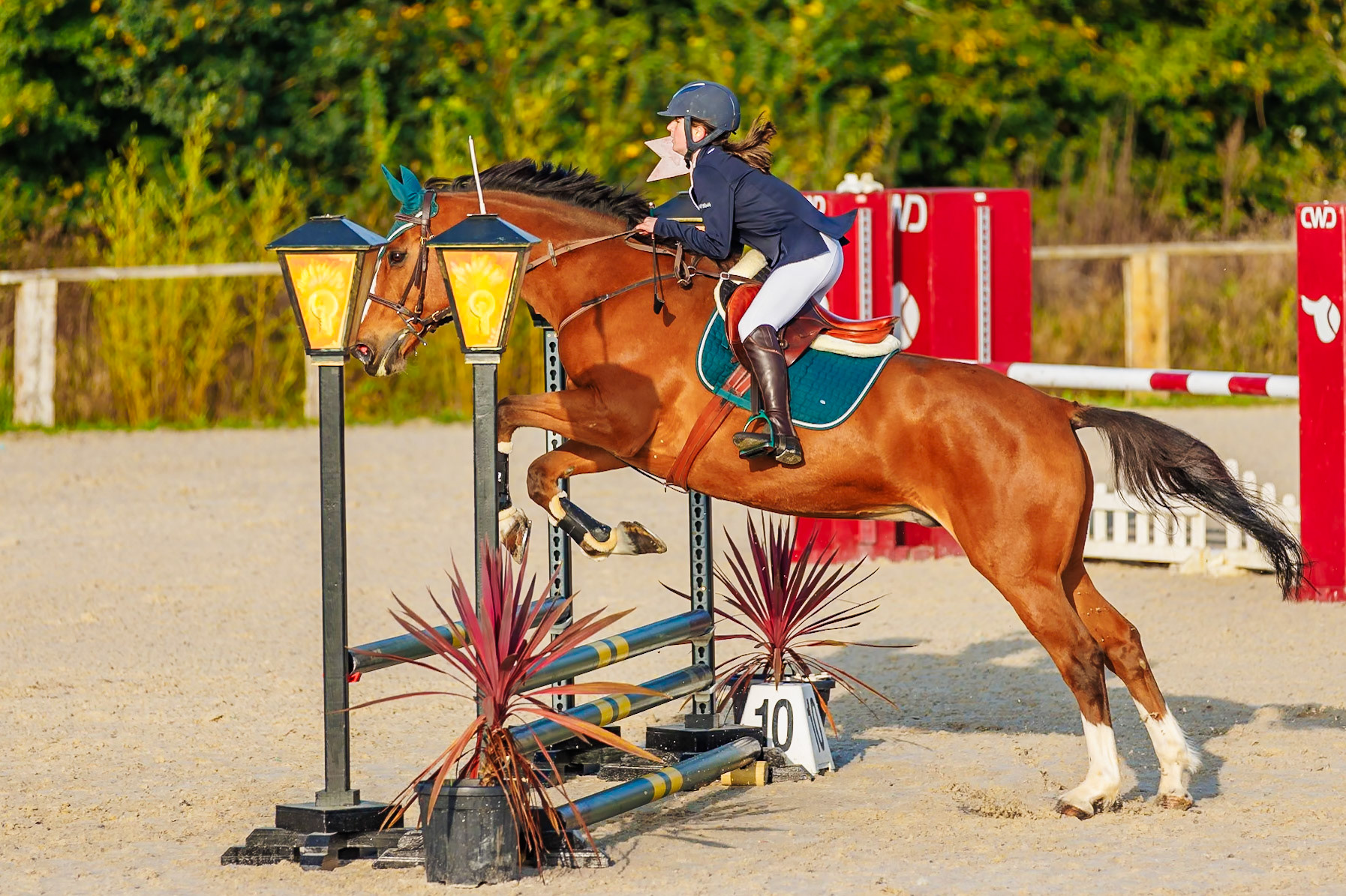 CSO haras De Monthomé