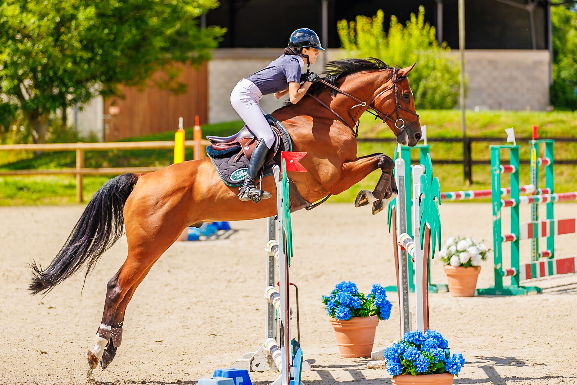 13 juillet 2024 / Haras de Liverdy-en-Brie / Seine-et-Marne / Saut d'obstacles Amateur 1  Grand Prix (1.20 m)