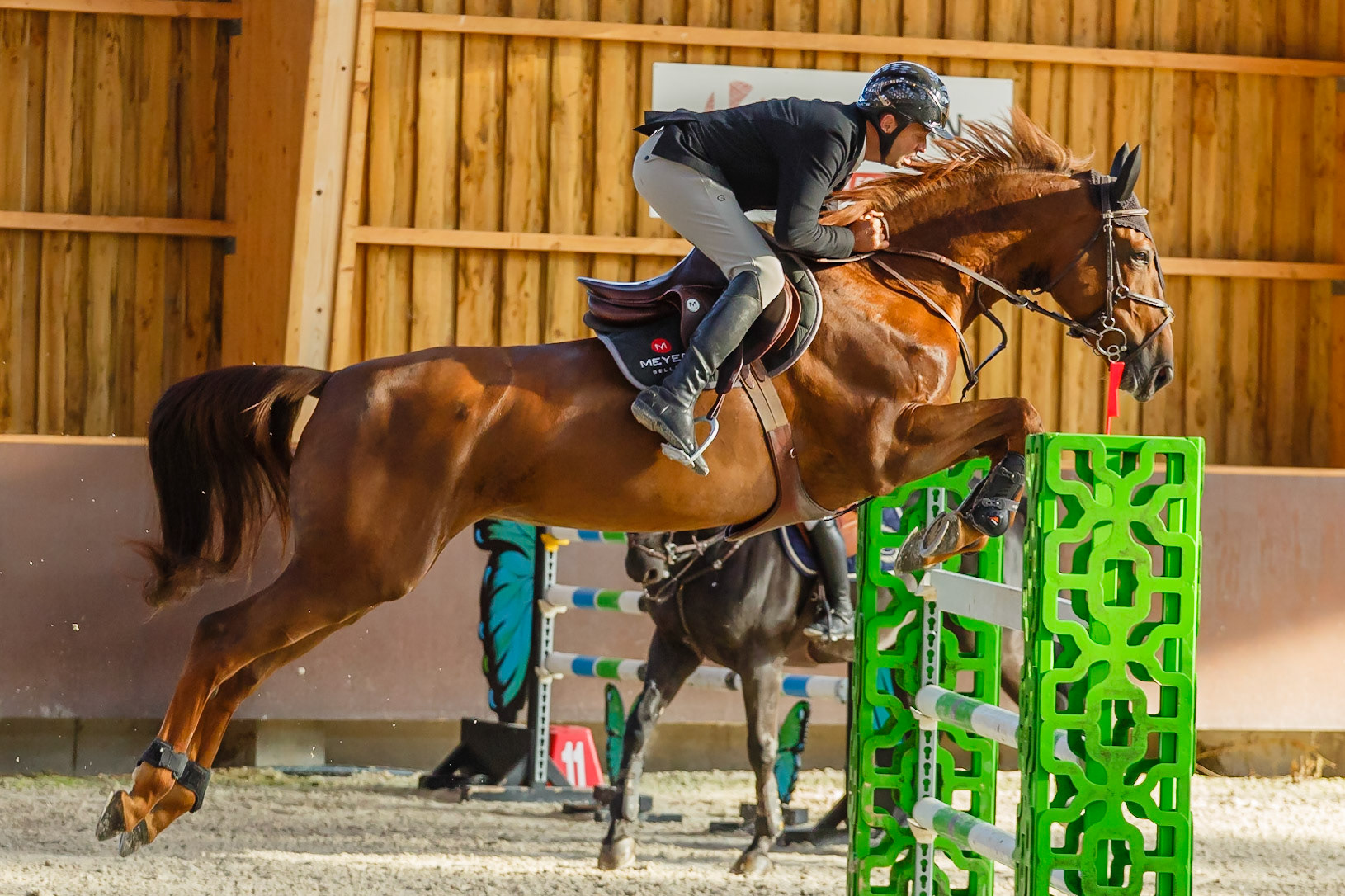 Concours hippique Liverdy-en Brie (77)