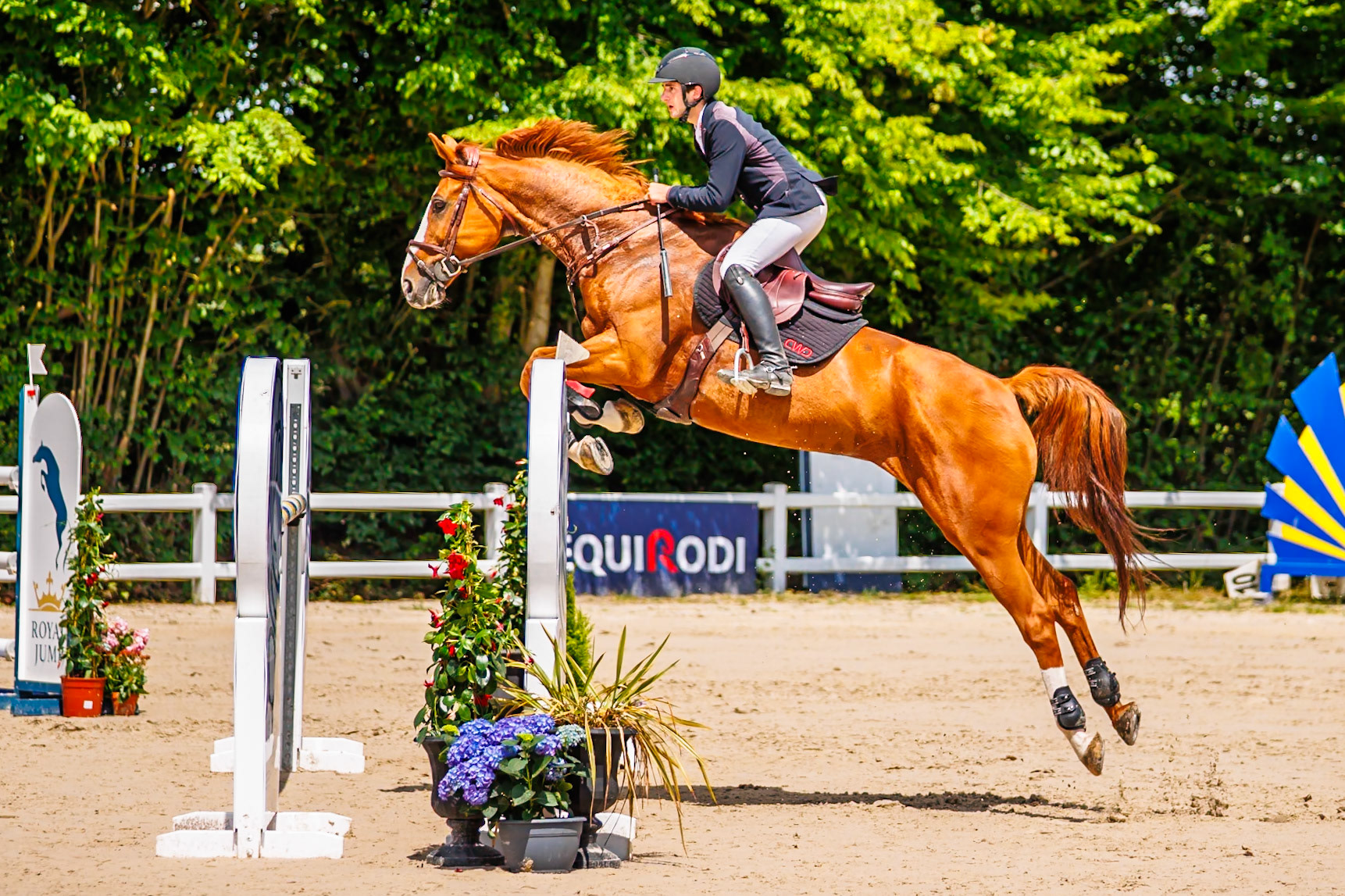 Royal Jump au Château de Brétichère 14