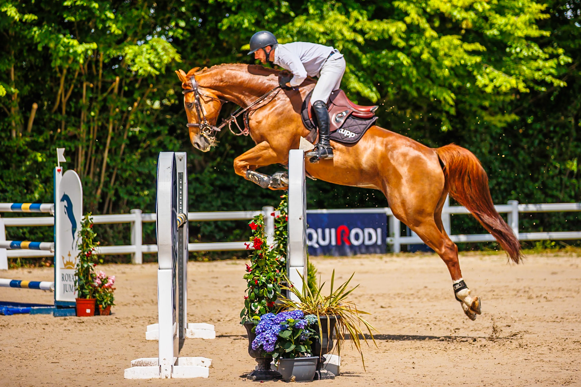 Royal Jump au Château de Brétichère 20