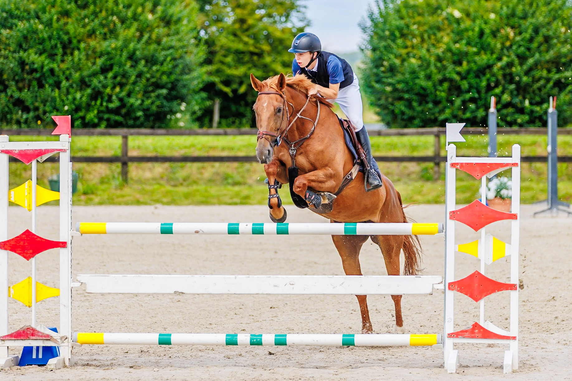 13 juillet 2024 / Haras de Liverdy-en-Brie / Seine-et-Marne / Saut d'obstacles Amateur 1  Grand Prix (1.20 m)