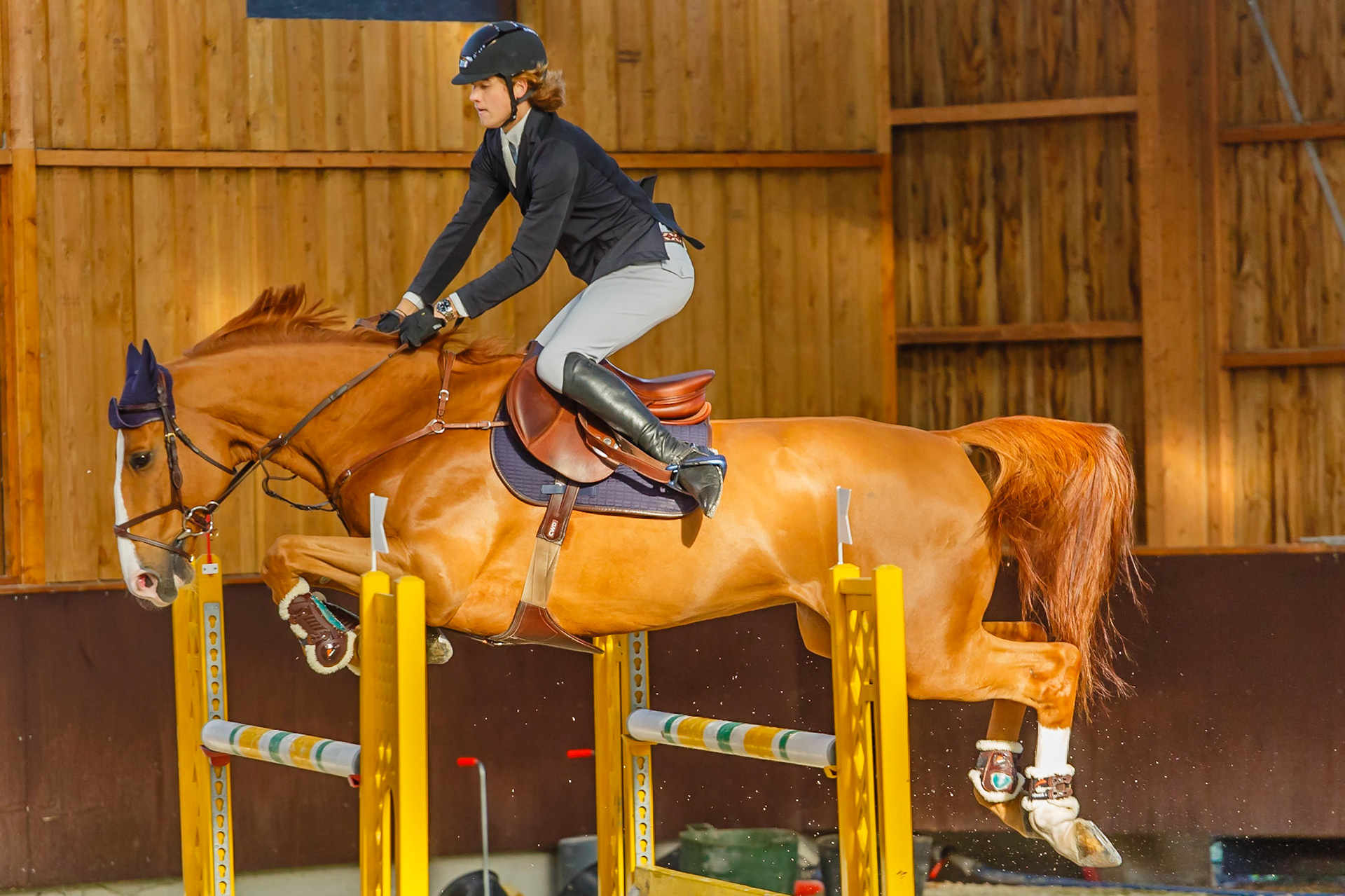 Concours hippique Liverdy-en Brie (77)