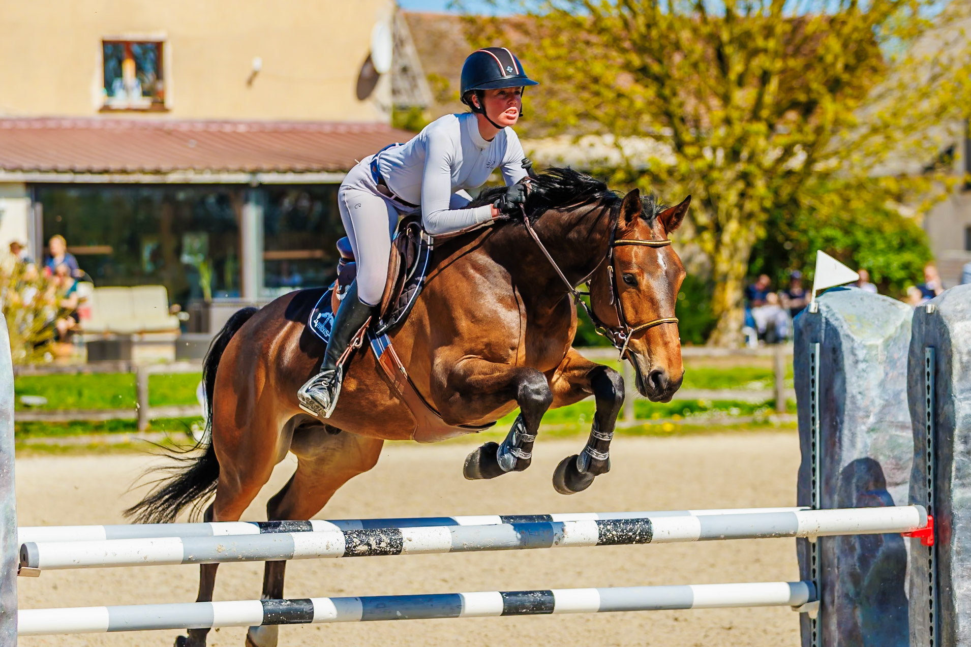 CSO Haras de Monthomé 13