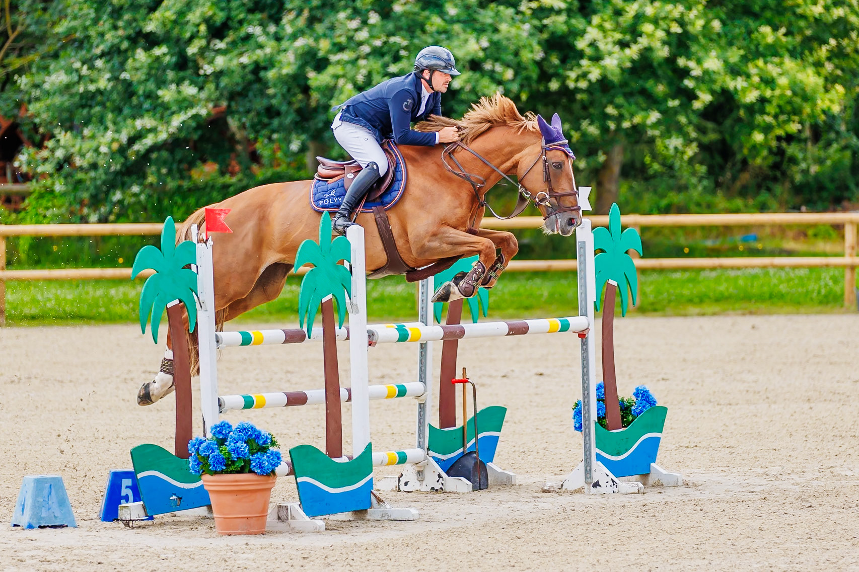 13 juillet 2024 / Haras de Liverdy-en-Brie / Seine-et-Marne / Saut d'obstacles Amateur 1  Grand Prix (1.20 m)