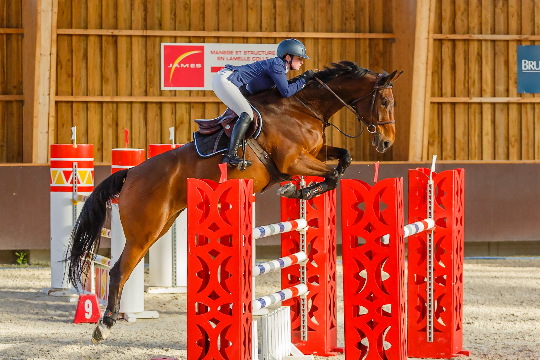Concours hippique Liverdy-en Brie (77)