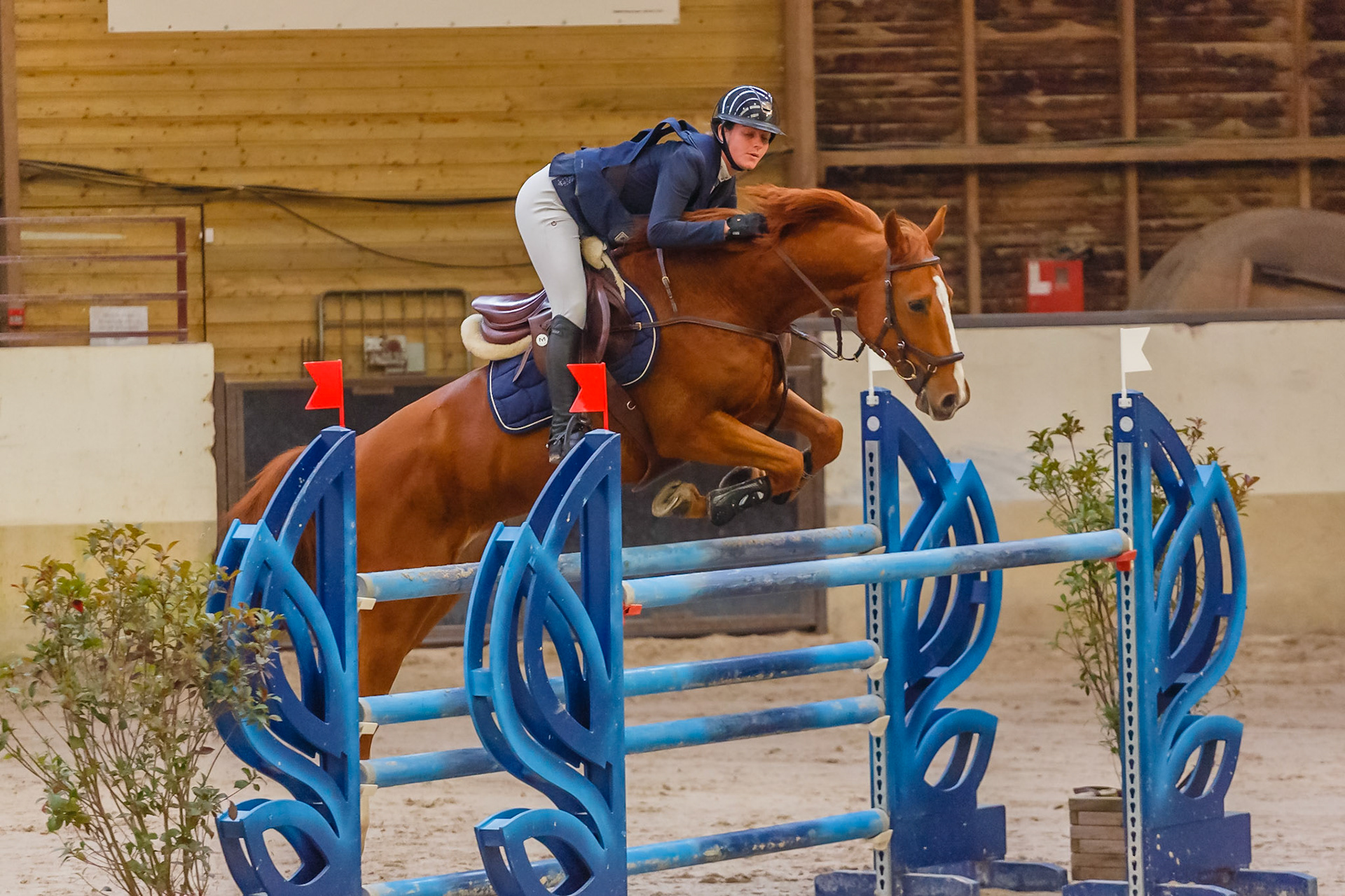 CSO Ozoir-la-Ferrière (77)